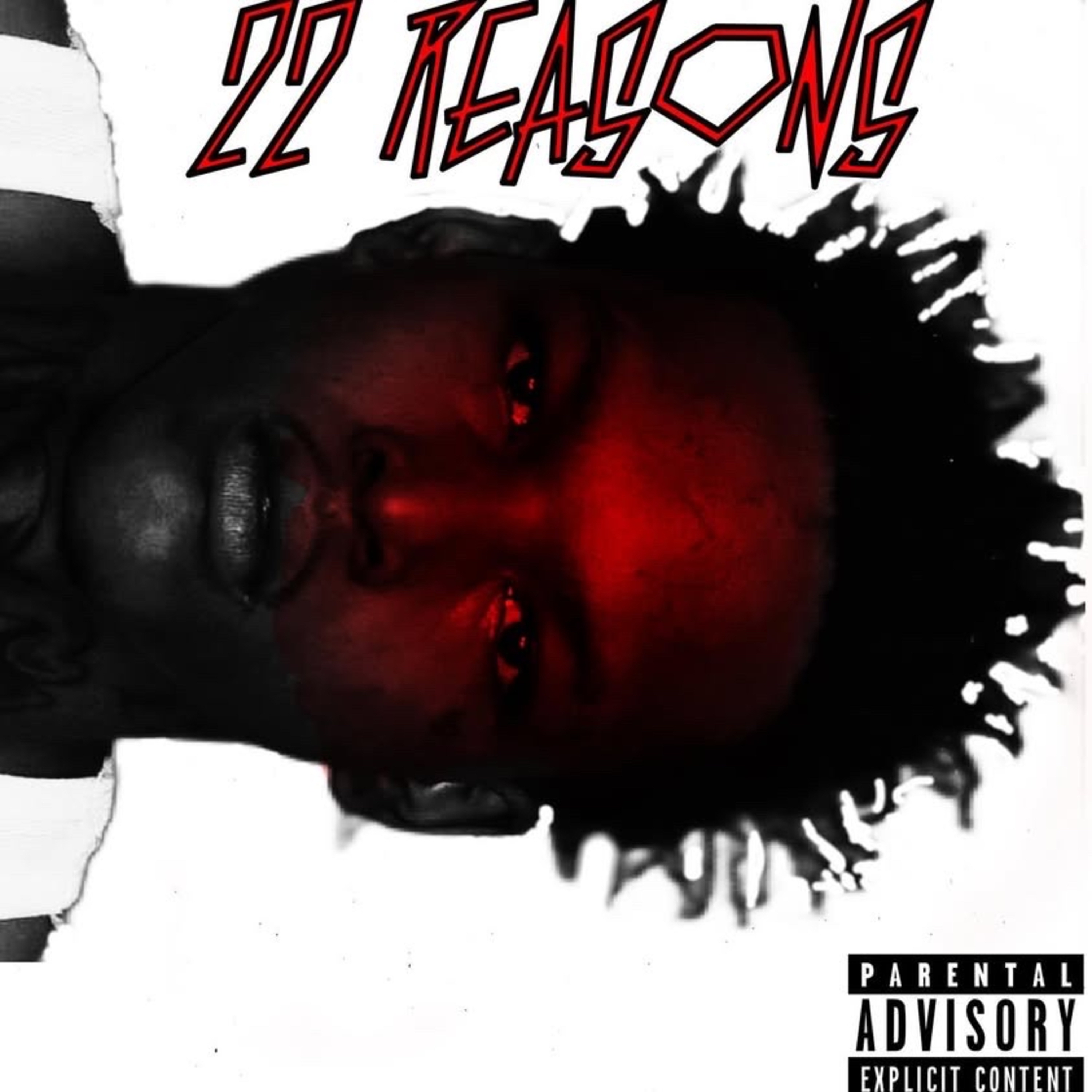 22 Reasons artwork