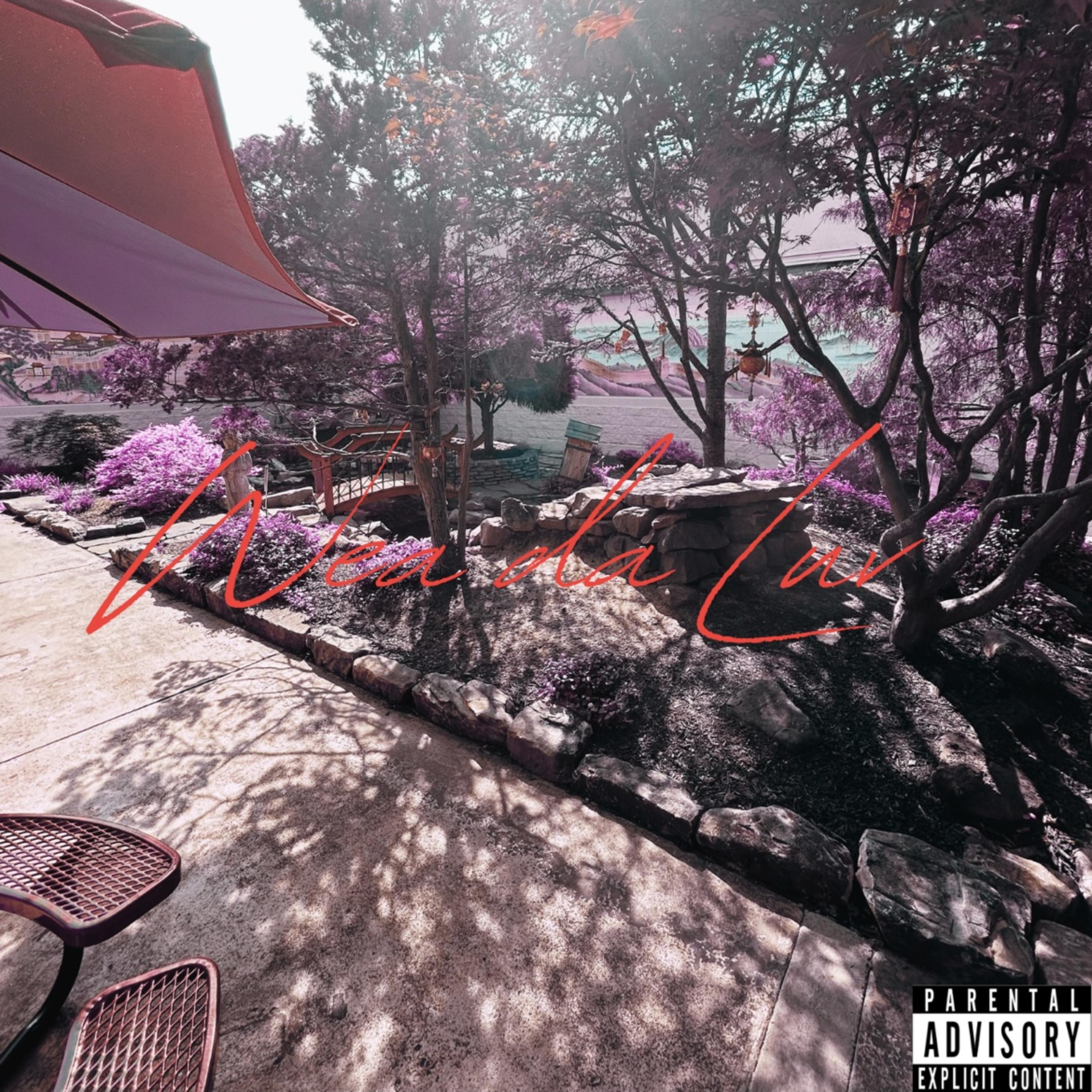 Wea da Luv by SkootaB cover art