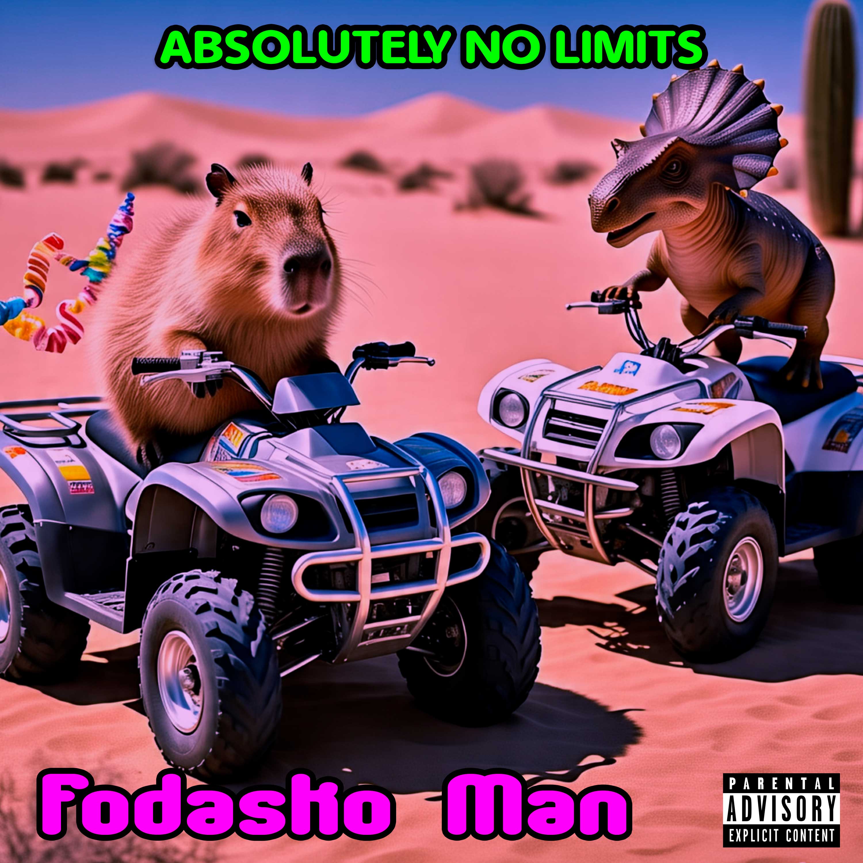 Absolutely No Limits artwork