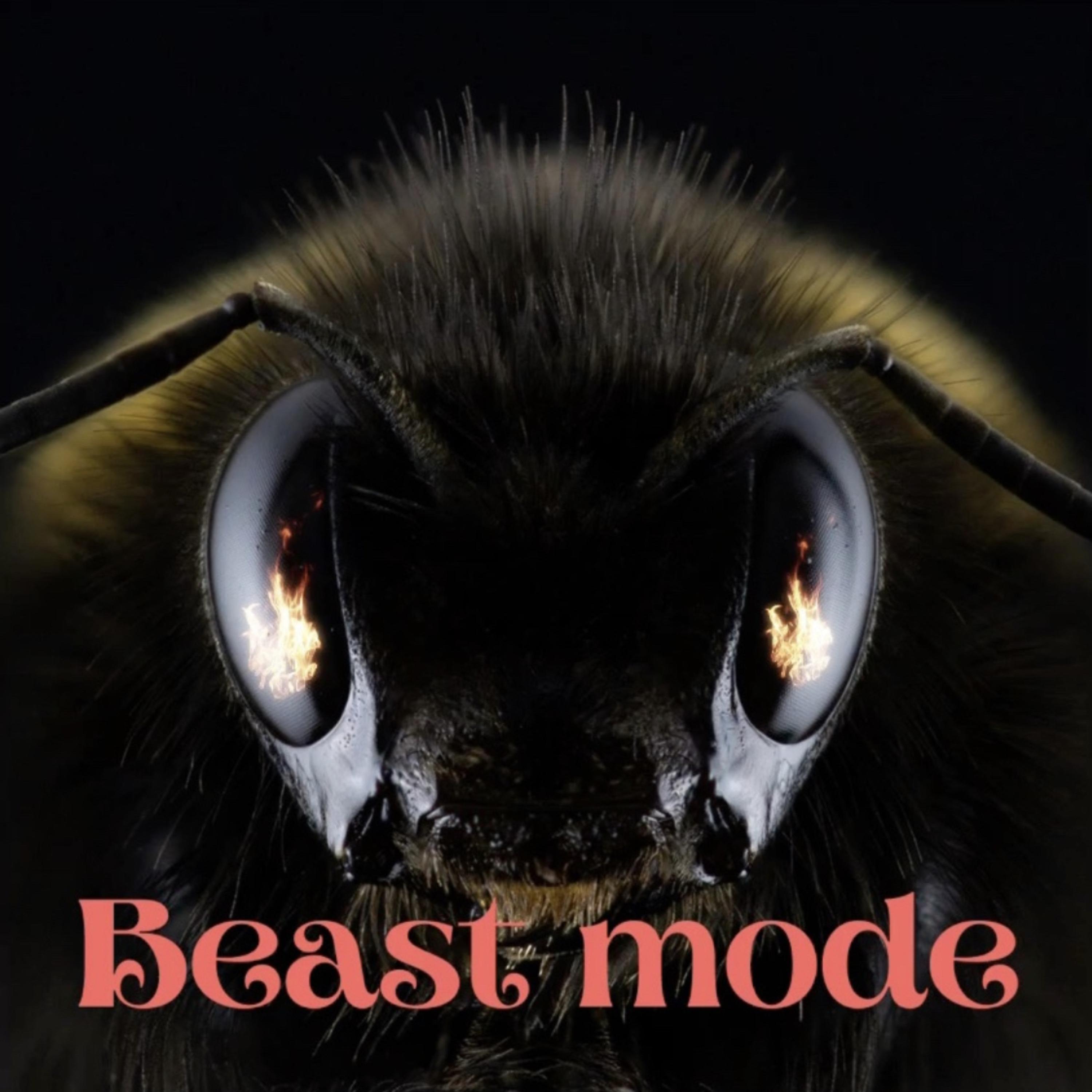 Beast Mode artwork