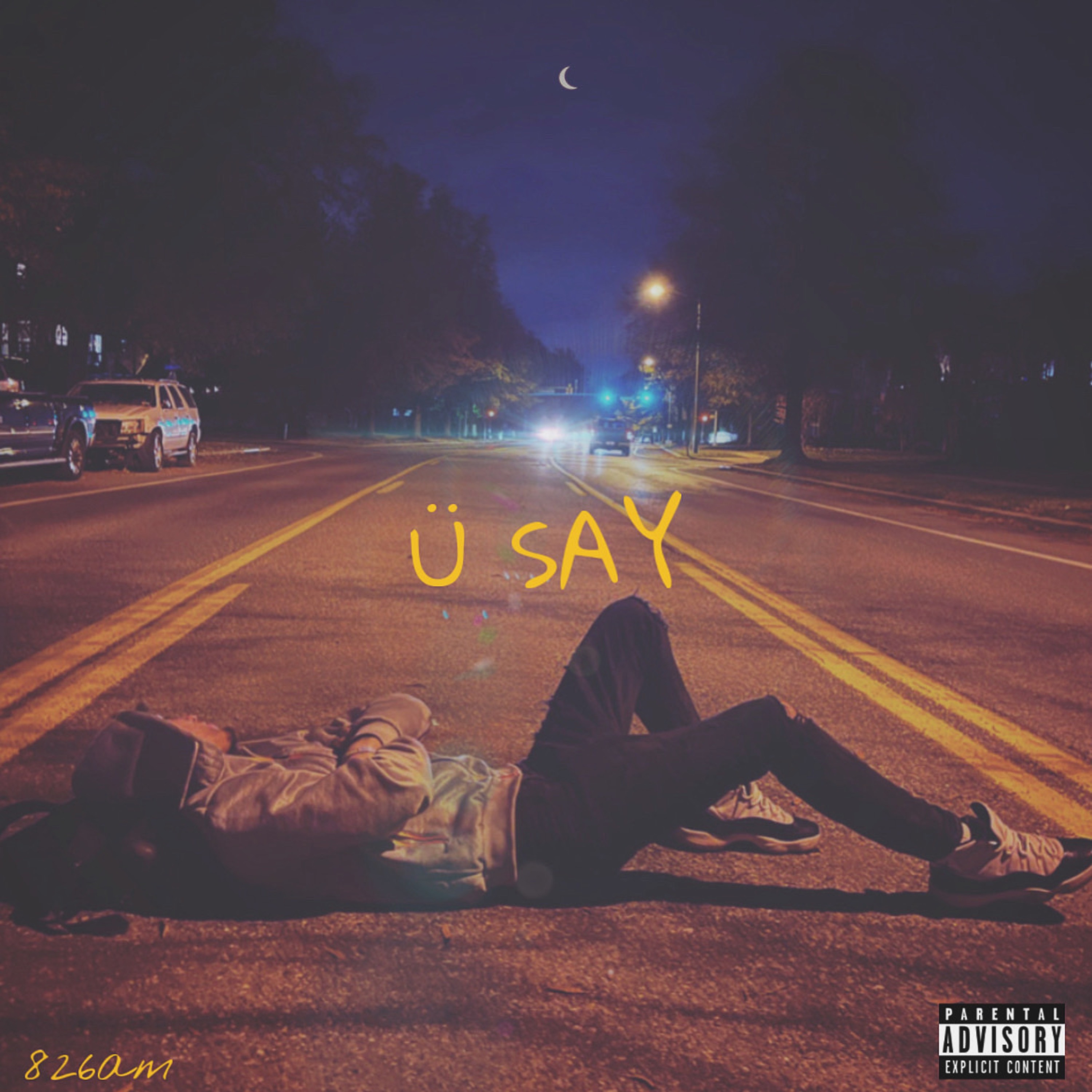 Ü Say artwork