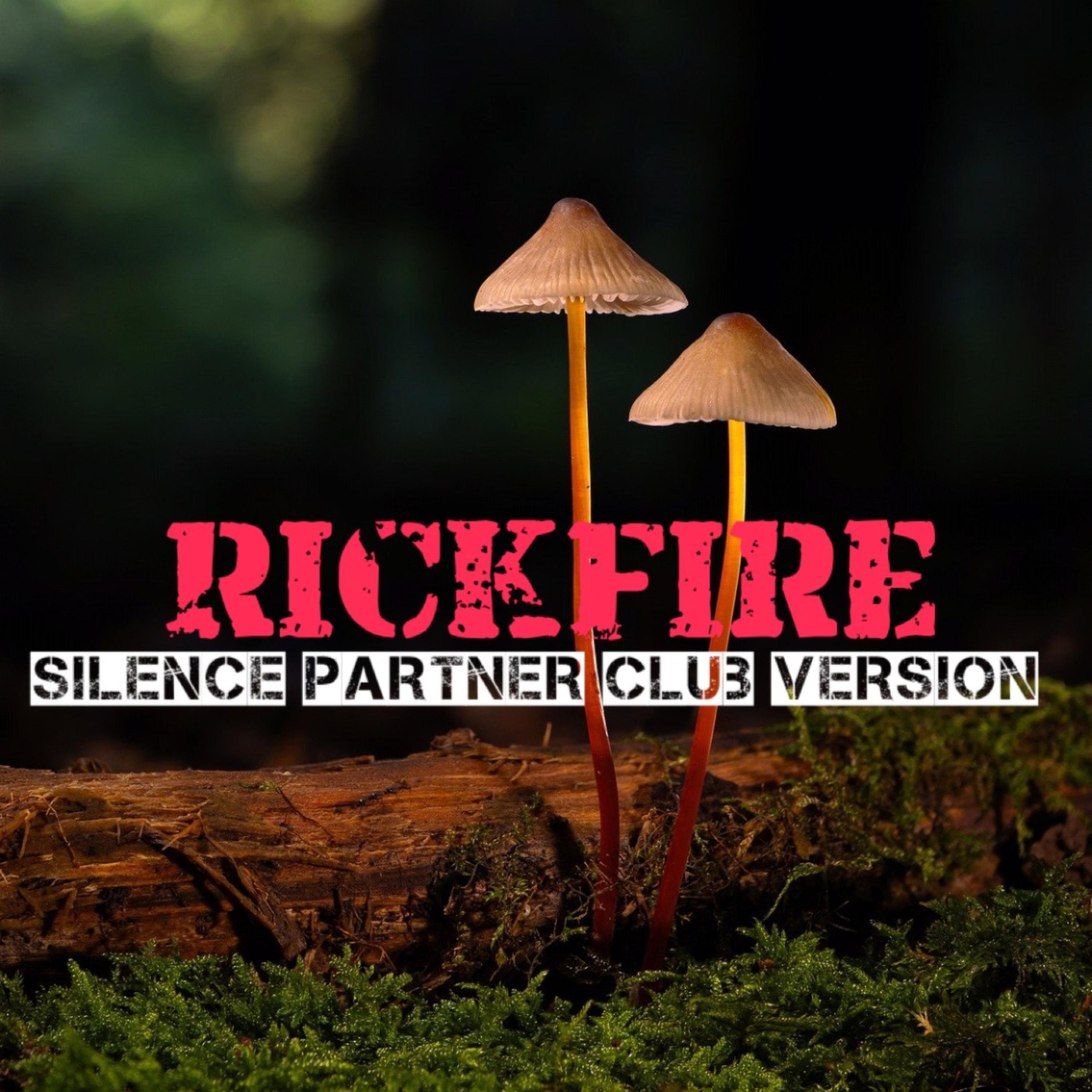 Silence Partner Club Version artwork