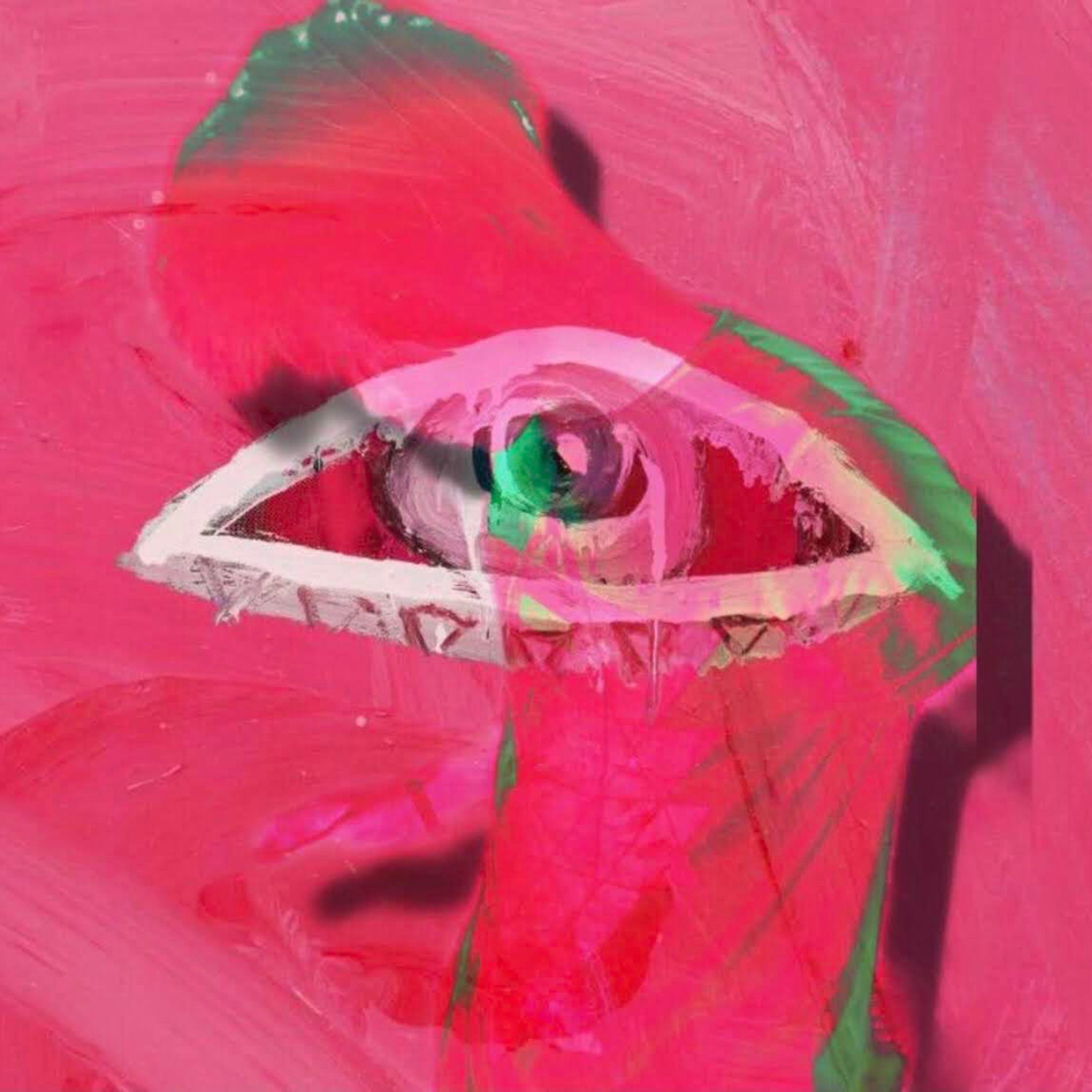 The Diary Of A Visionary artwork
