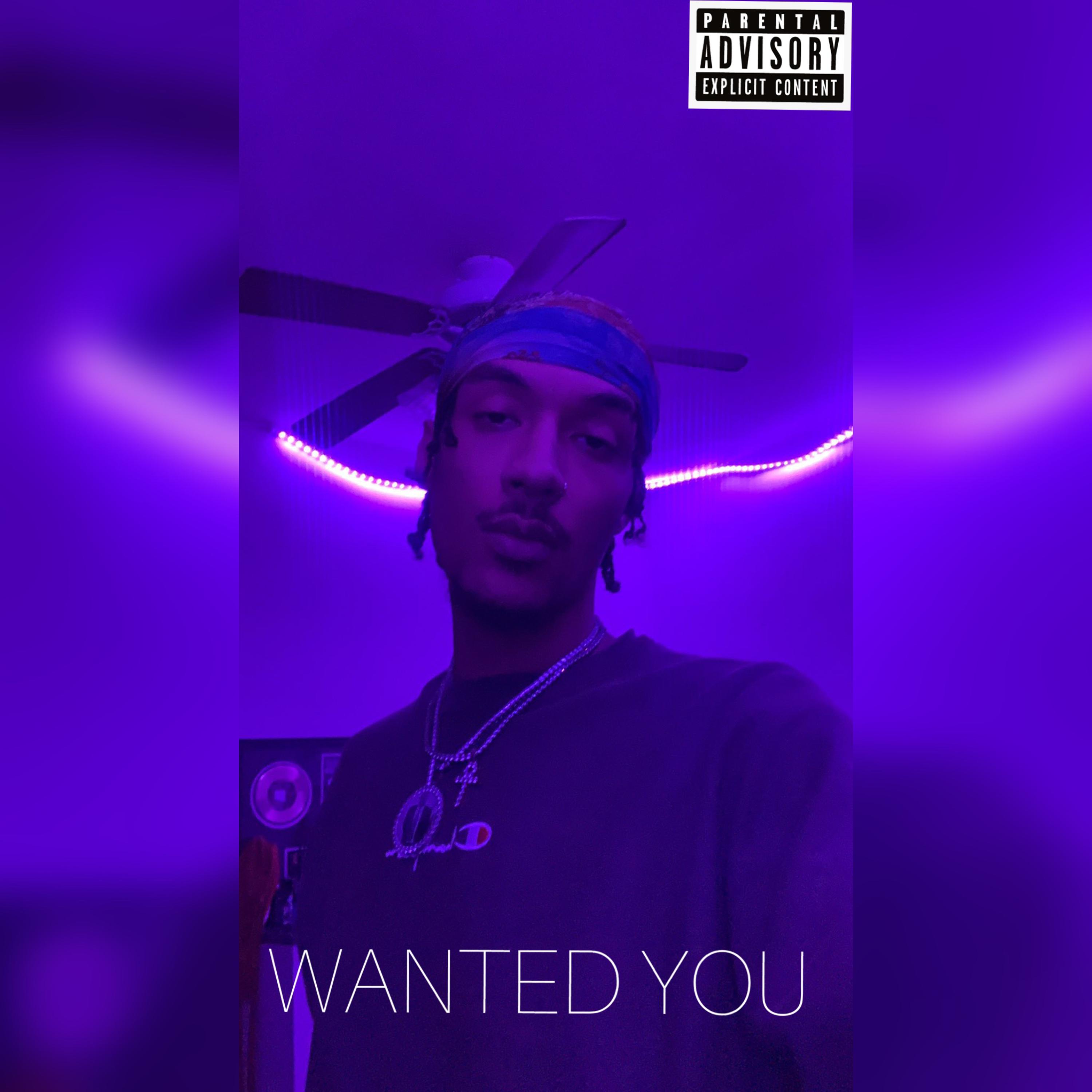 Wanted You artwork