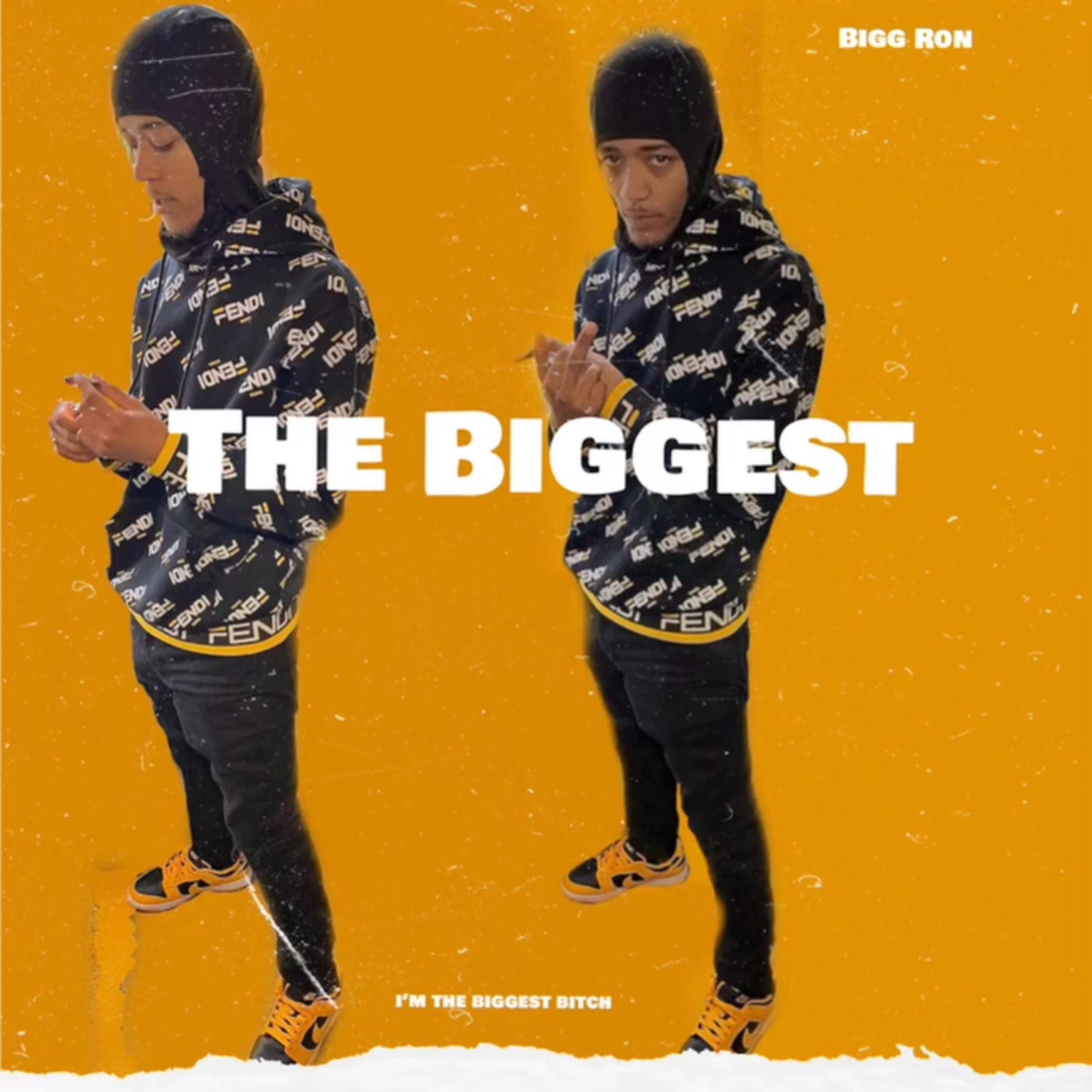 The Biggest artwork