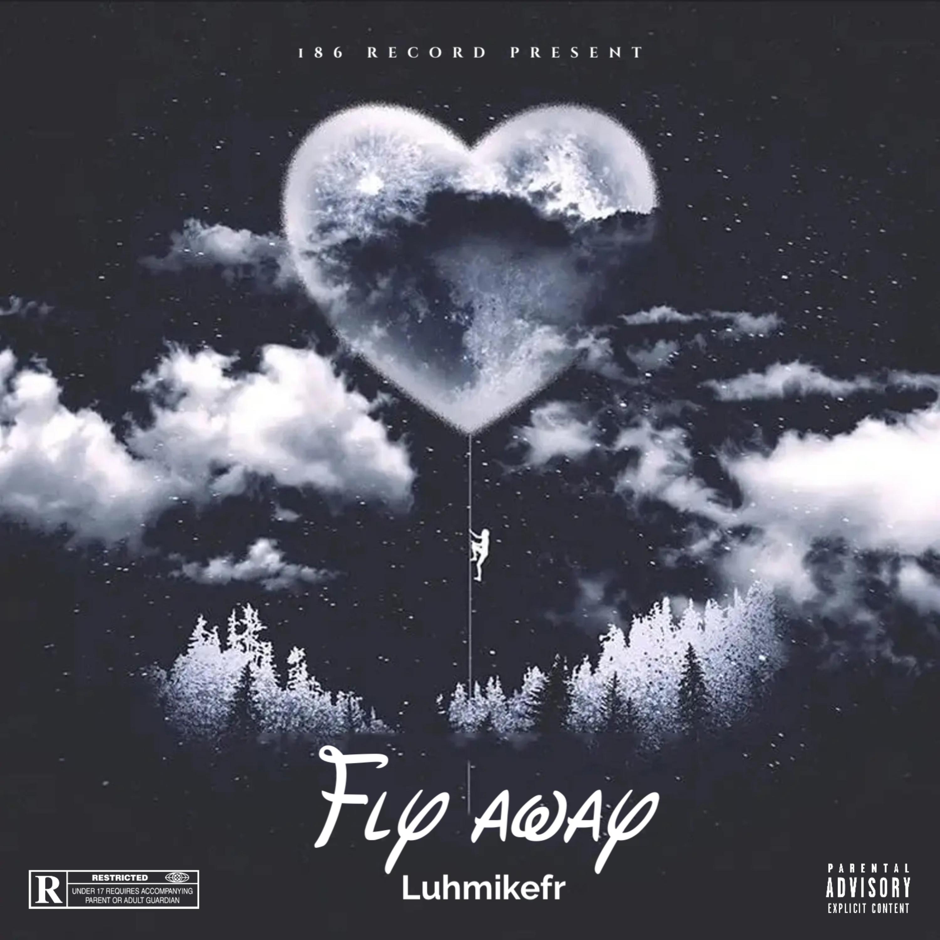 Fly away artwork