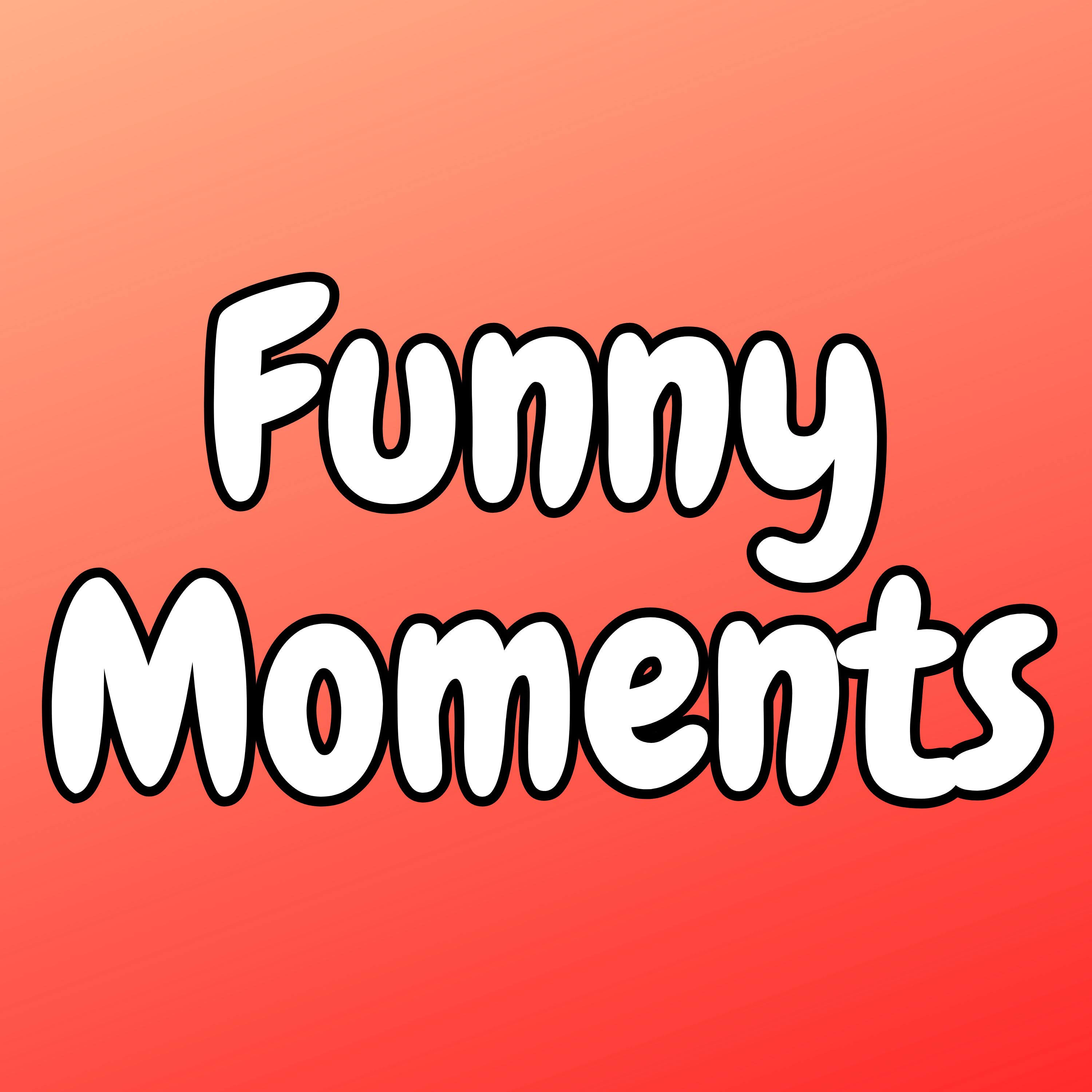 Funny Moments artwork