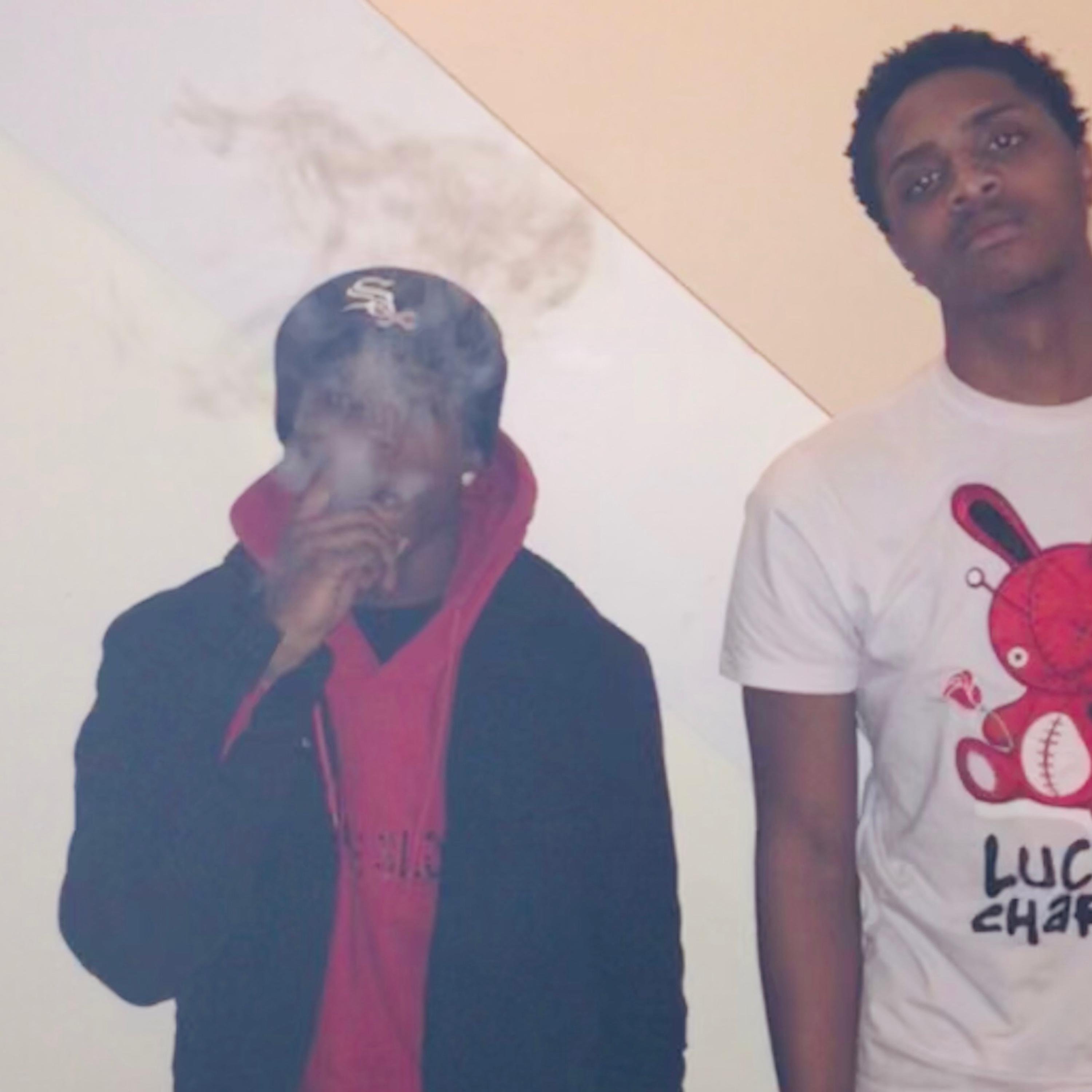 Duck Duck Goose artwork