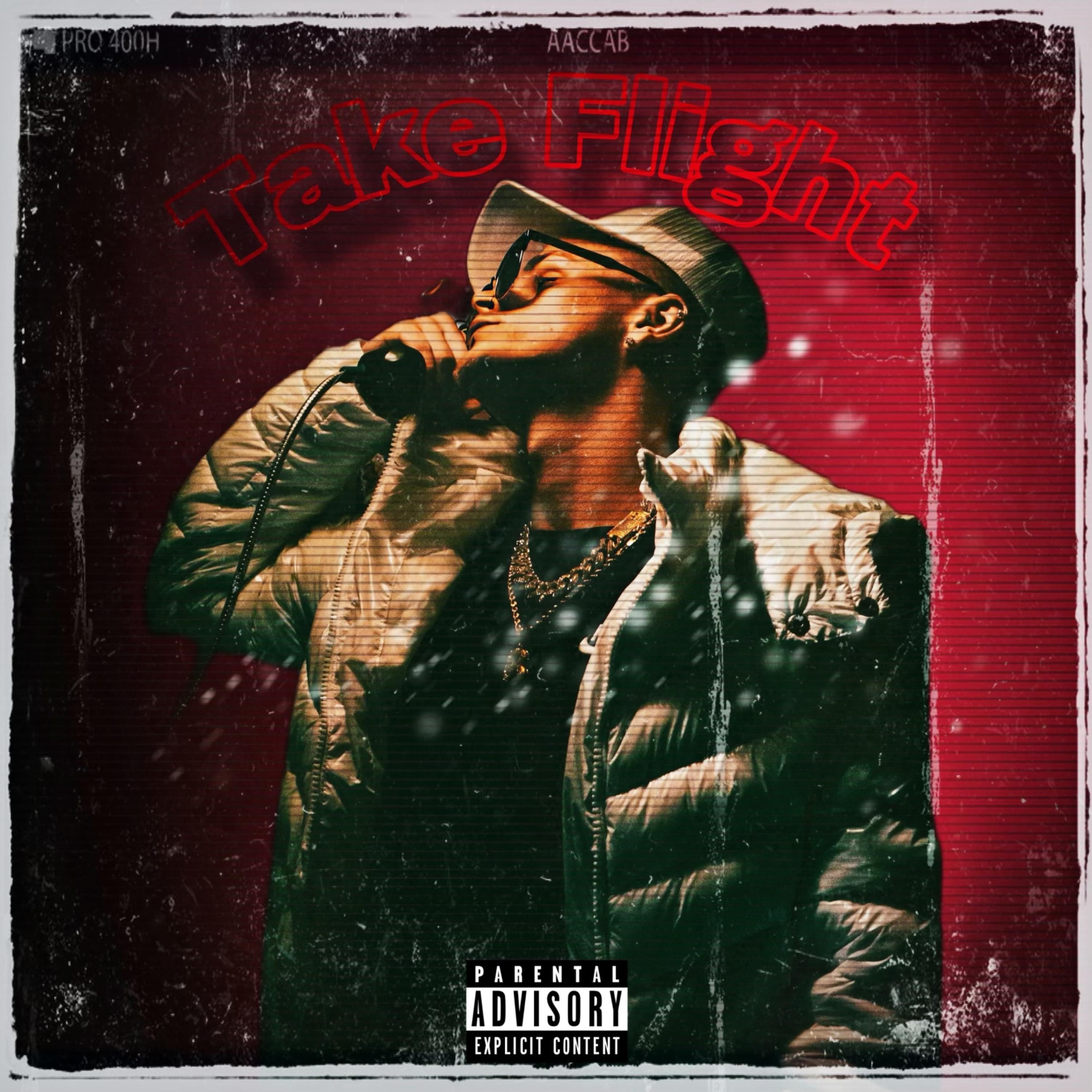 Take Flight artwork