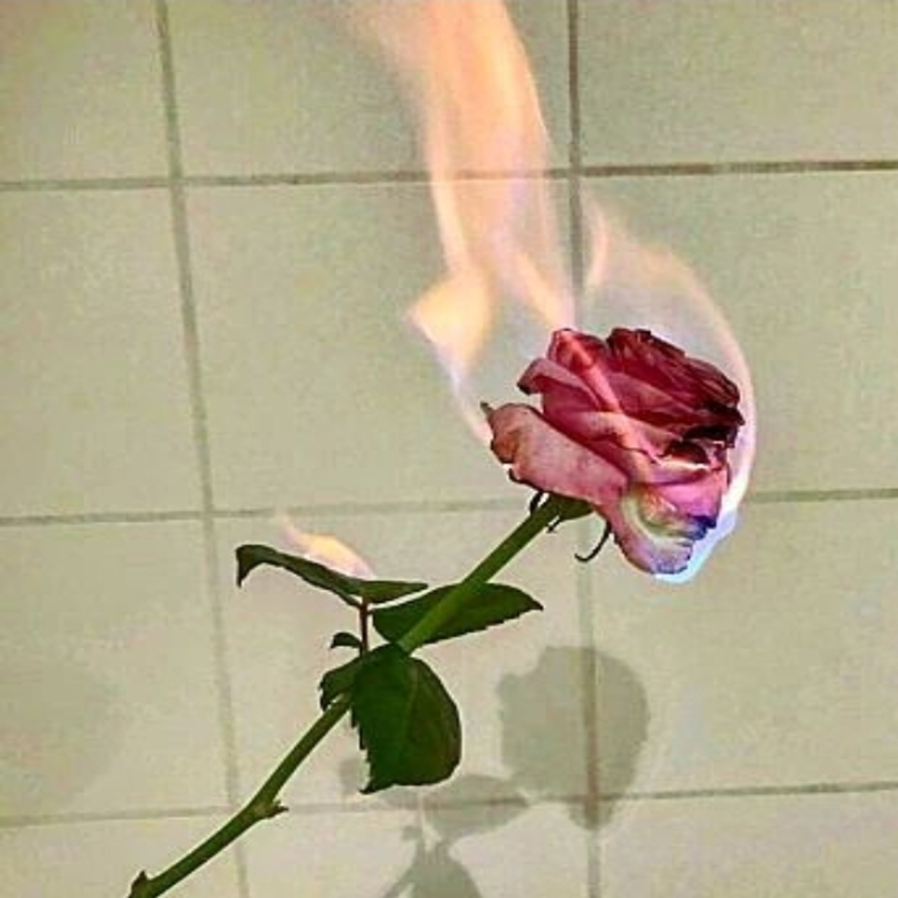 Struggles Of My Life (From The Album Born To Hustle) artwork