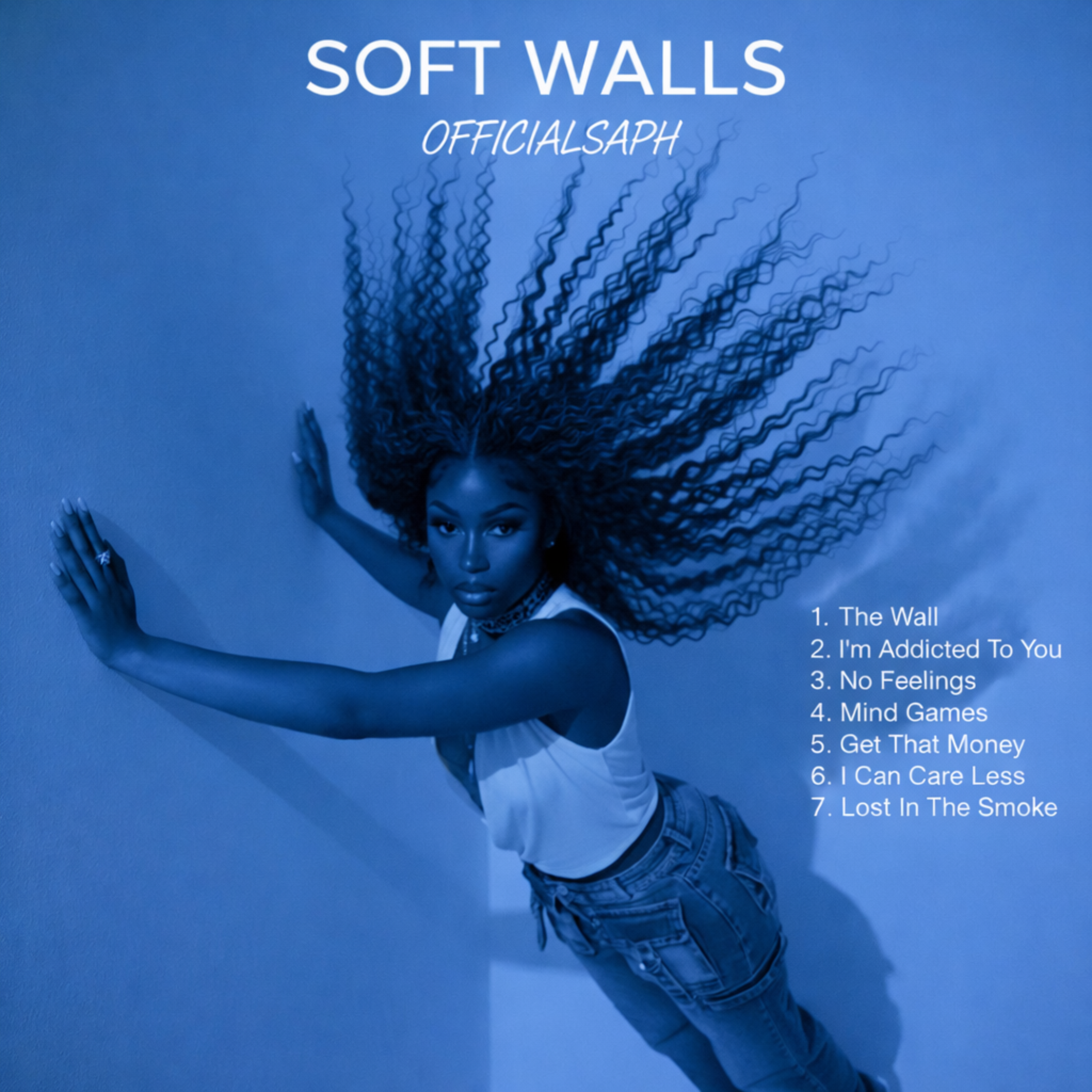 Soft Wall artwork