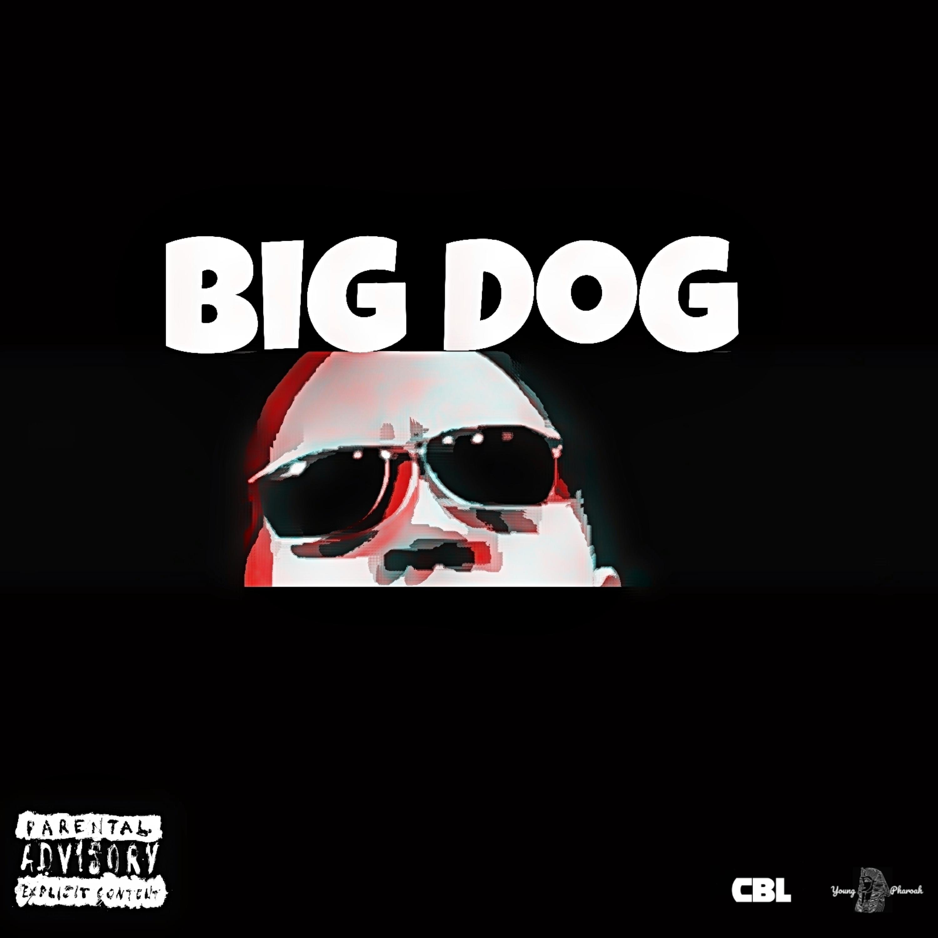 Big Dog artwork