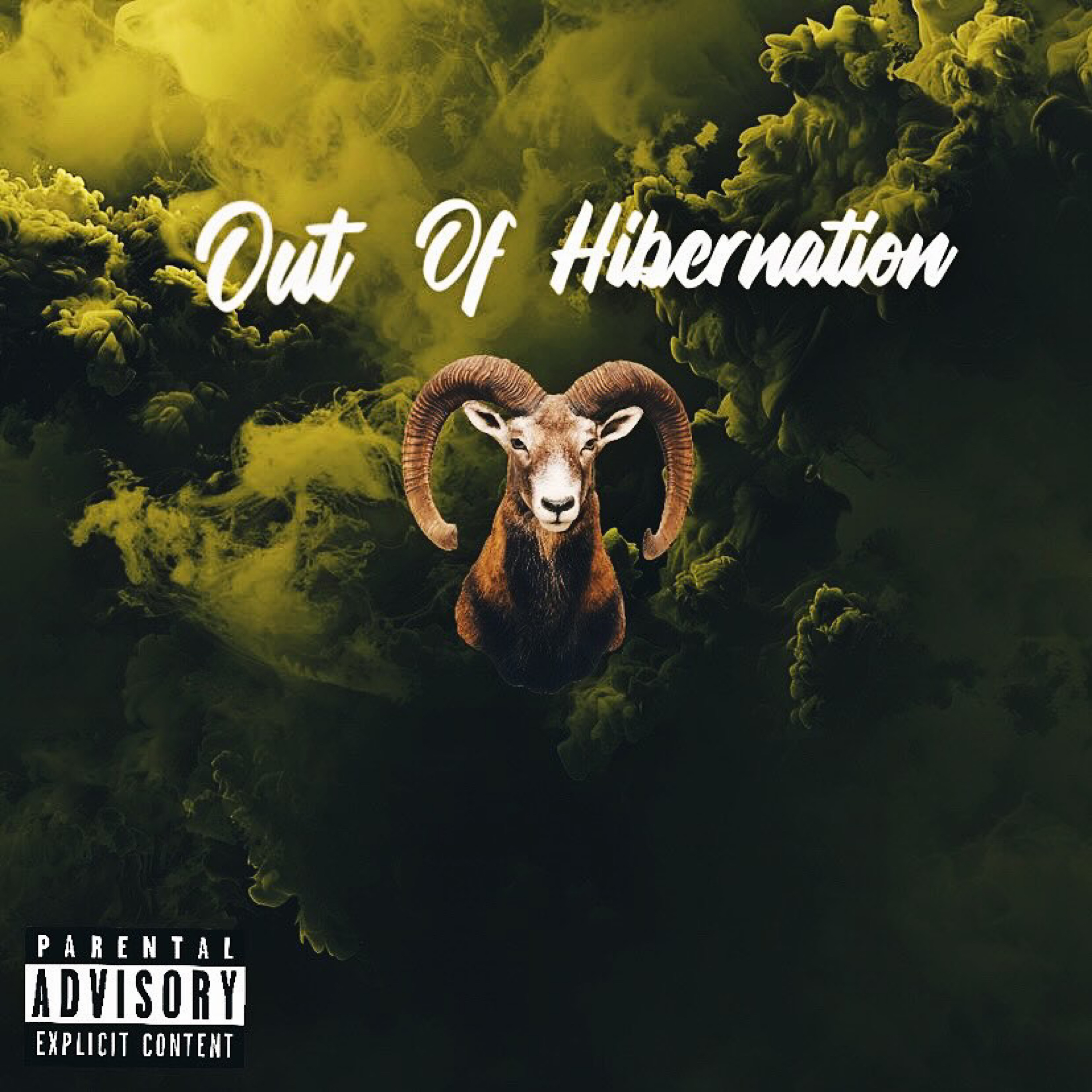 Out of Hibernation artwork
