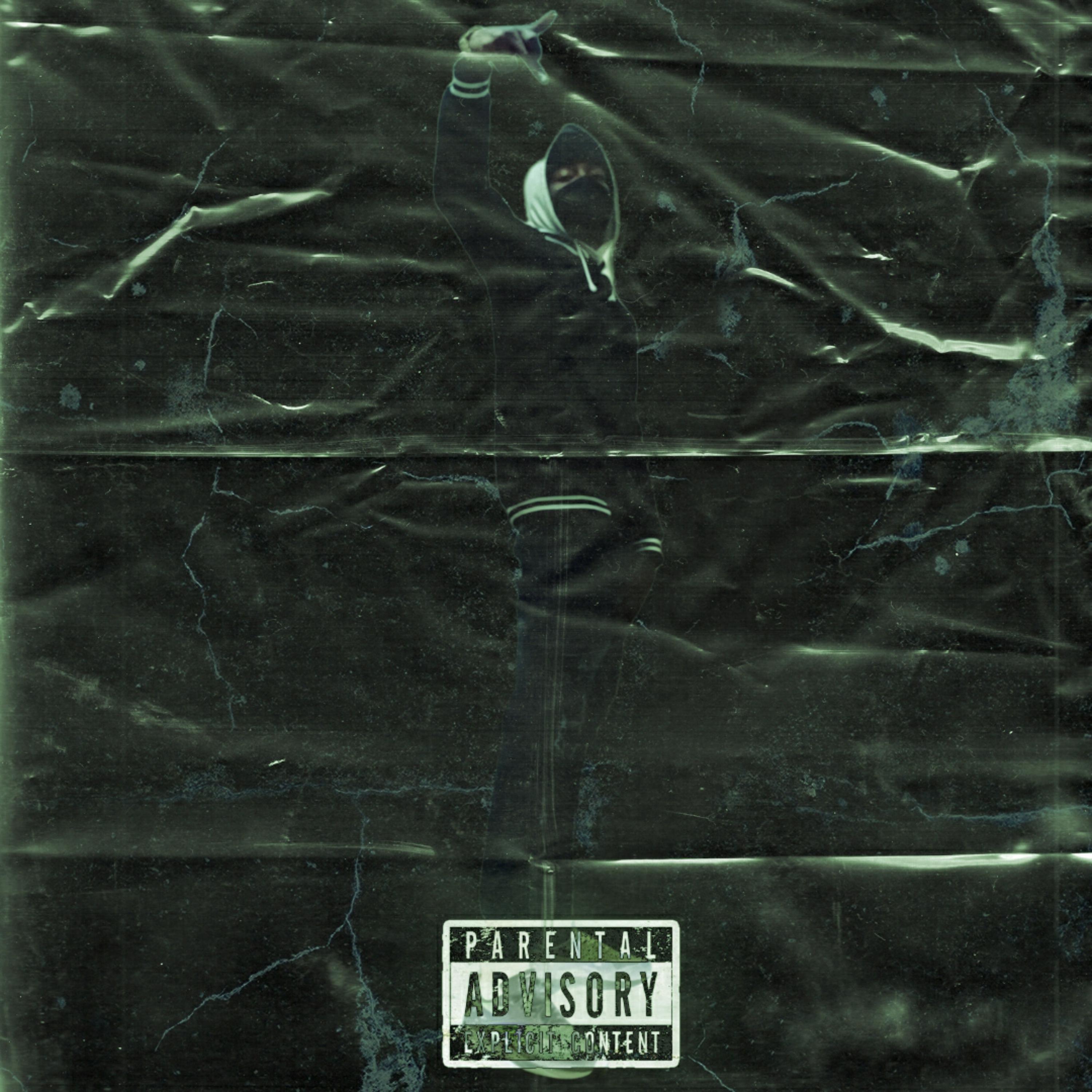 Rogue Company  artwork