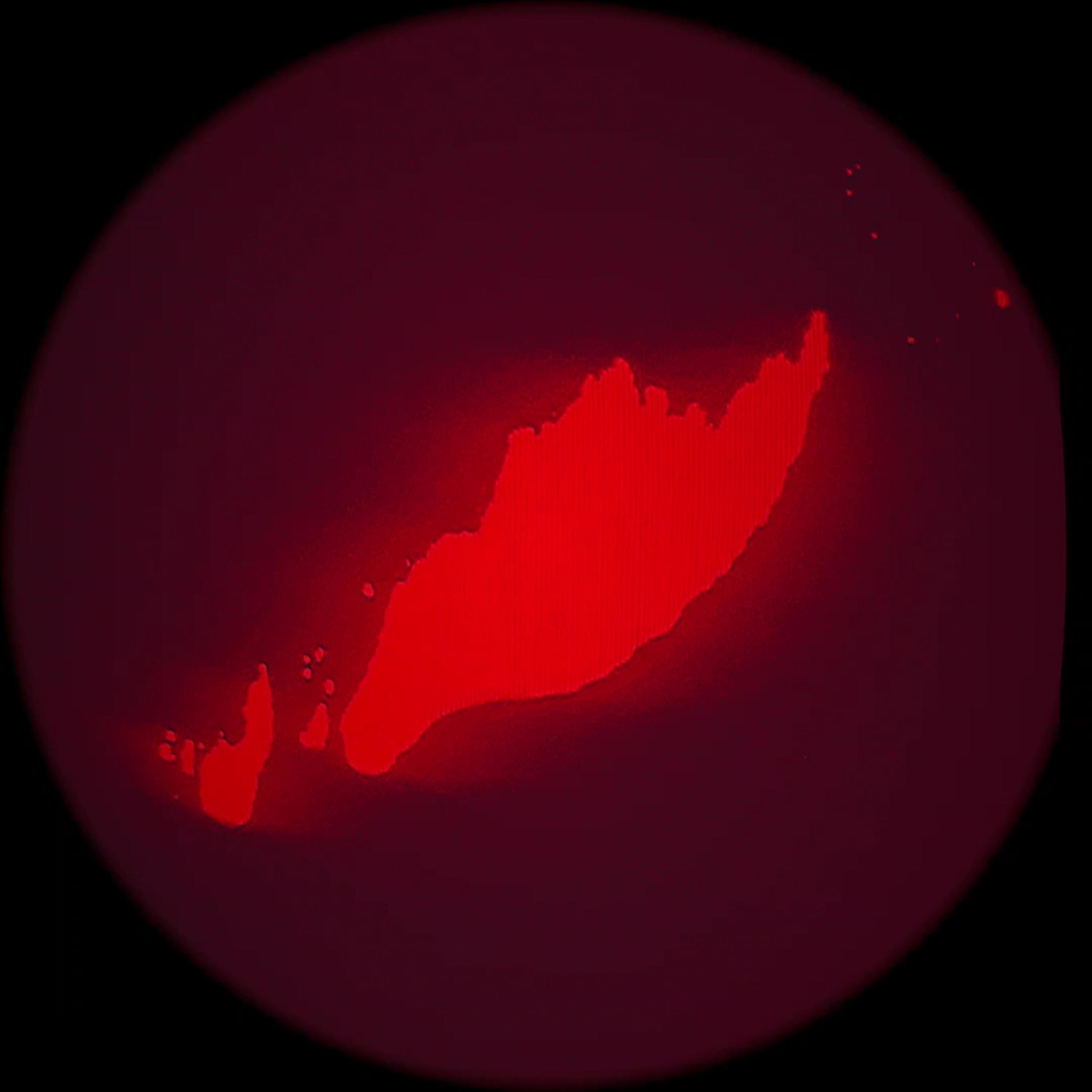 R U L E R artwork