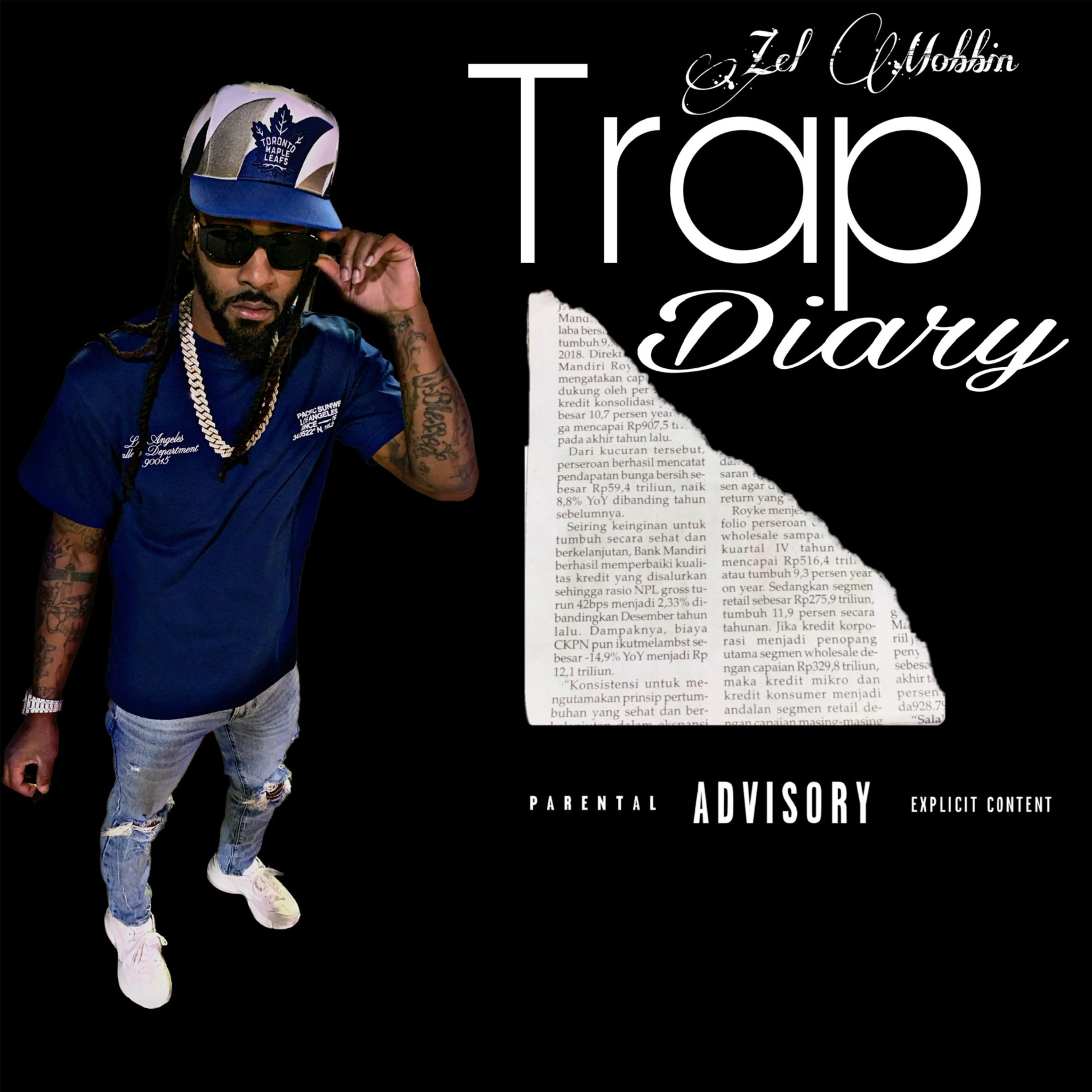 Trap Diary artwork
