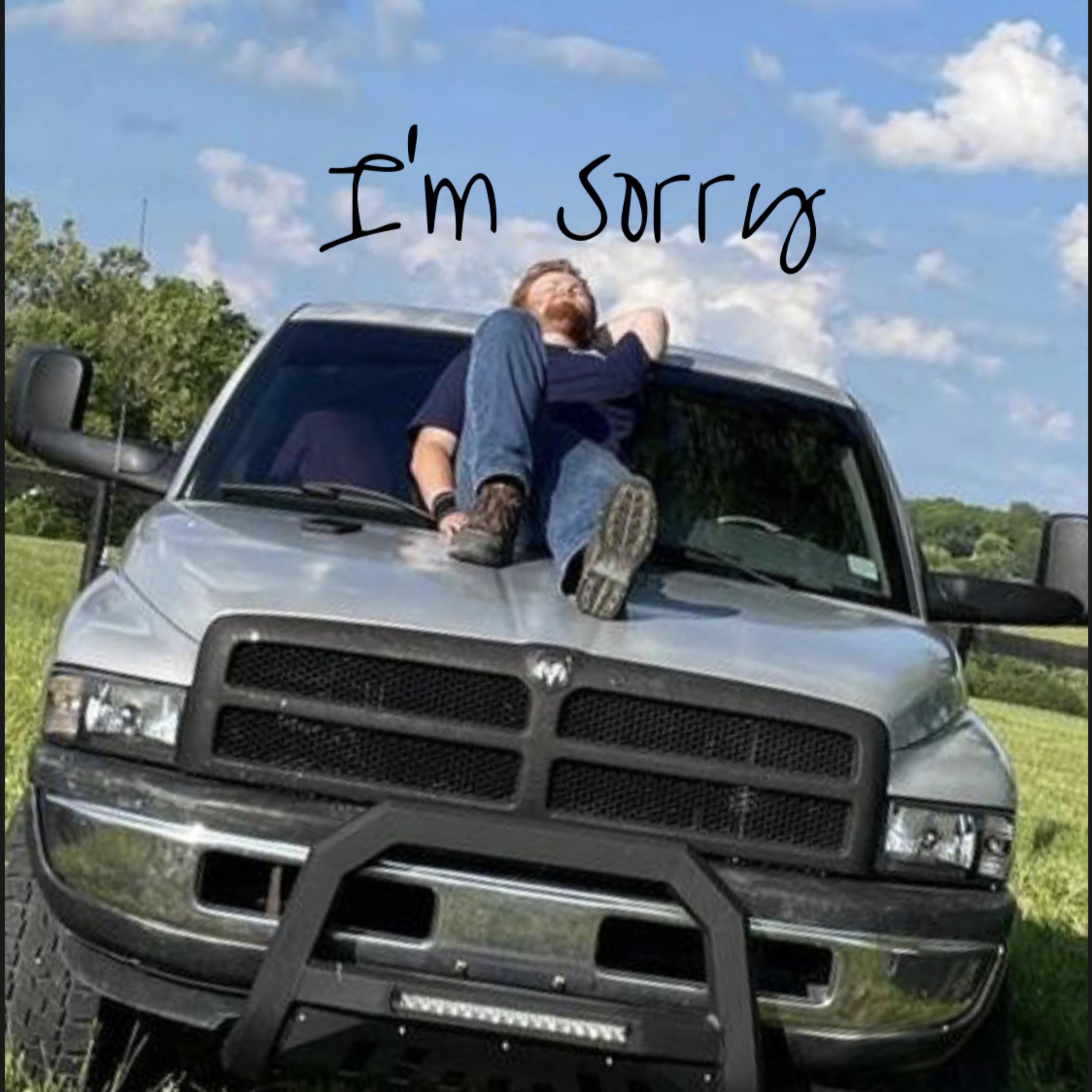 I'm Sorry artwork