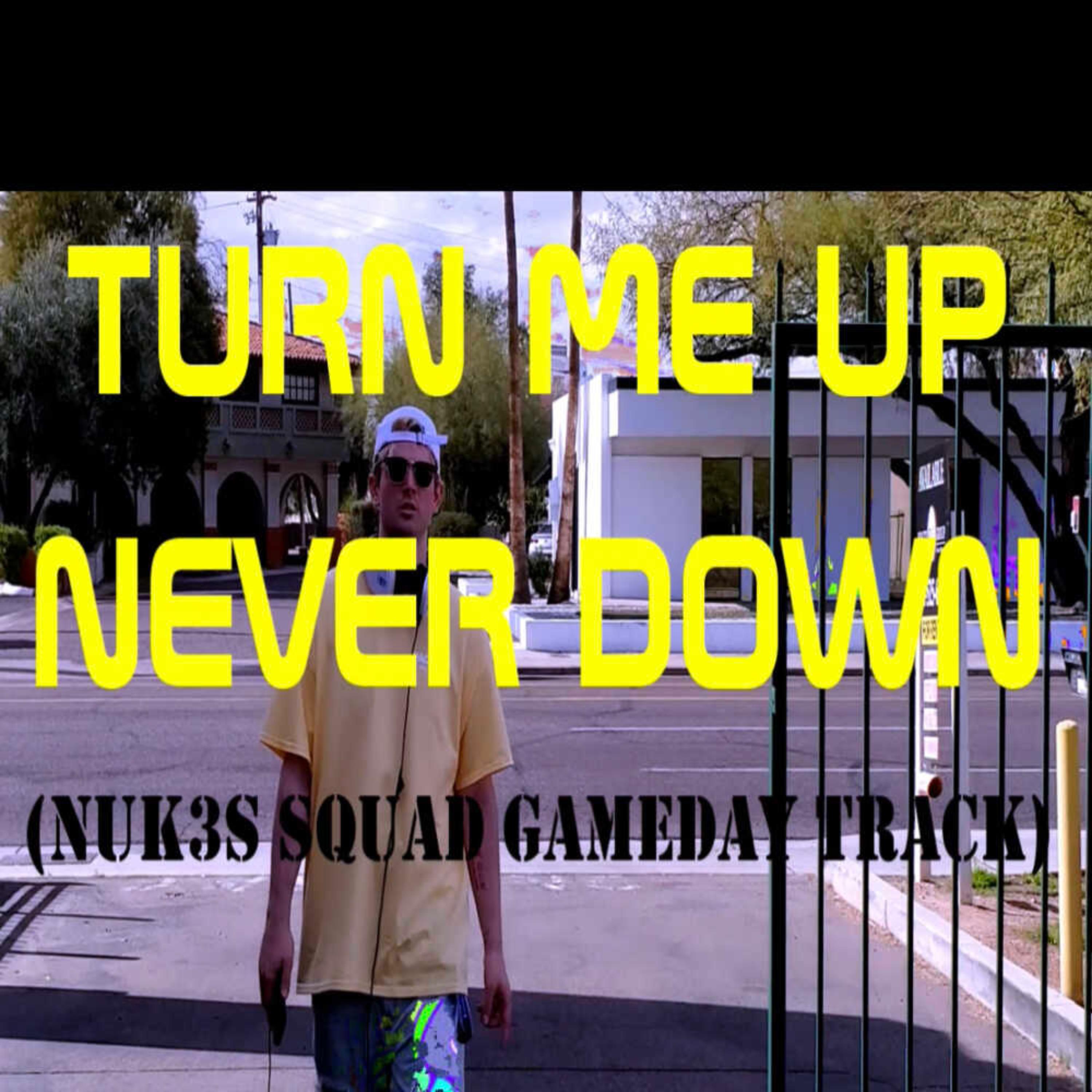Turn Me Up, Never Down artwork