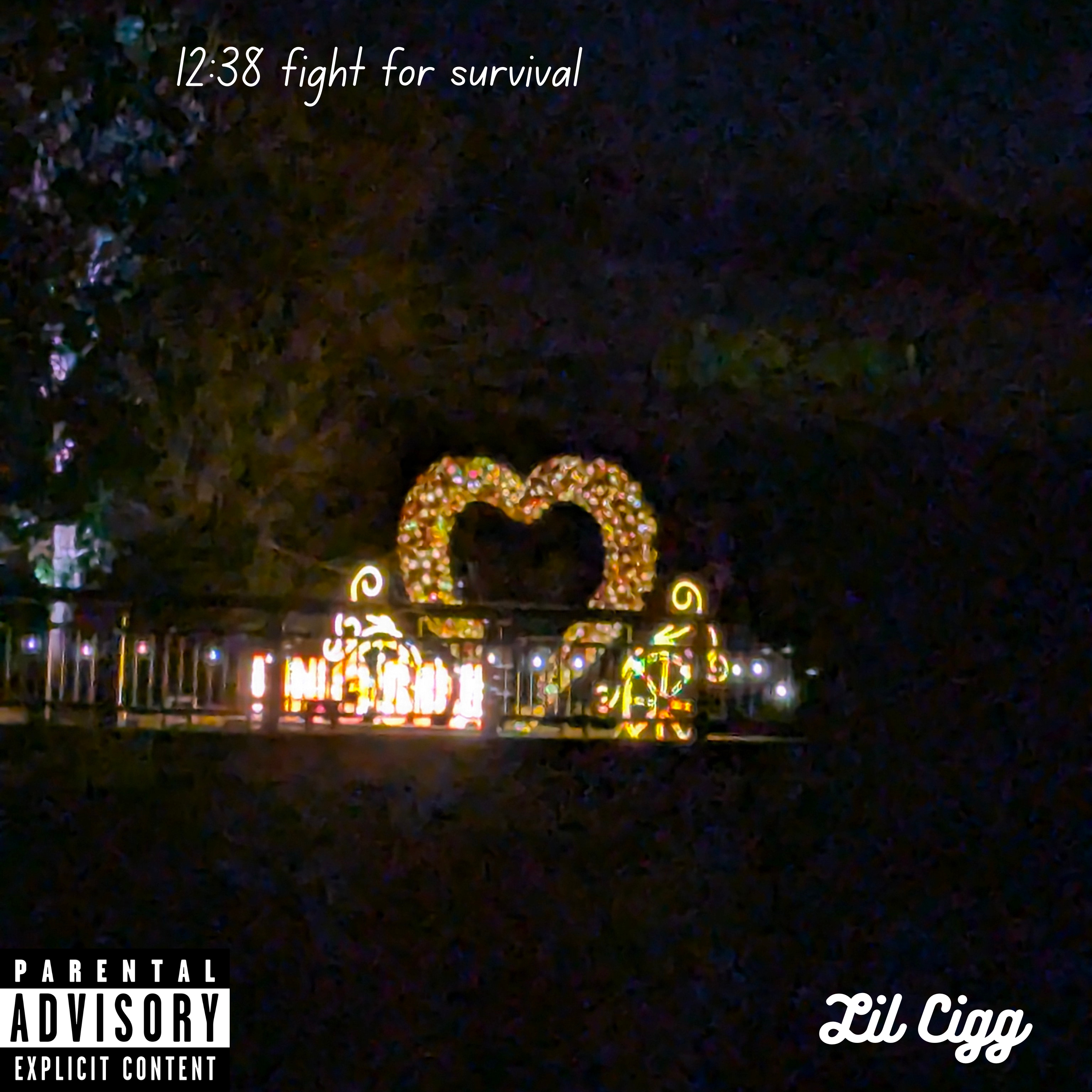 12:38 fight for survival artwork