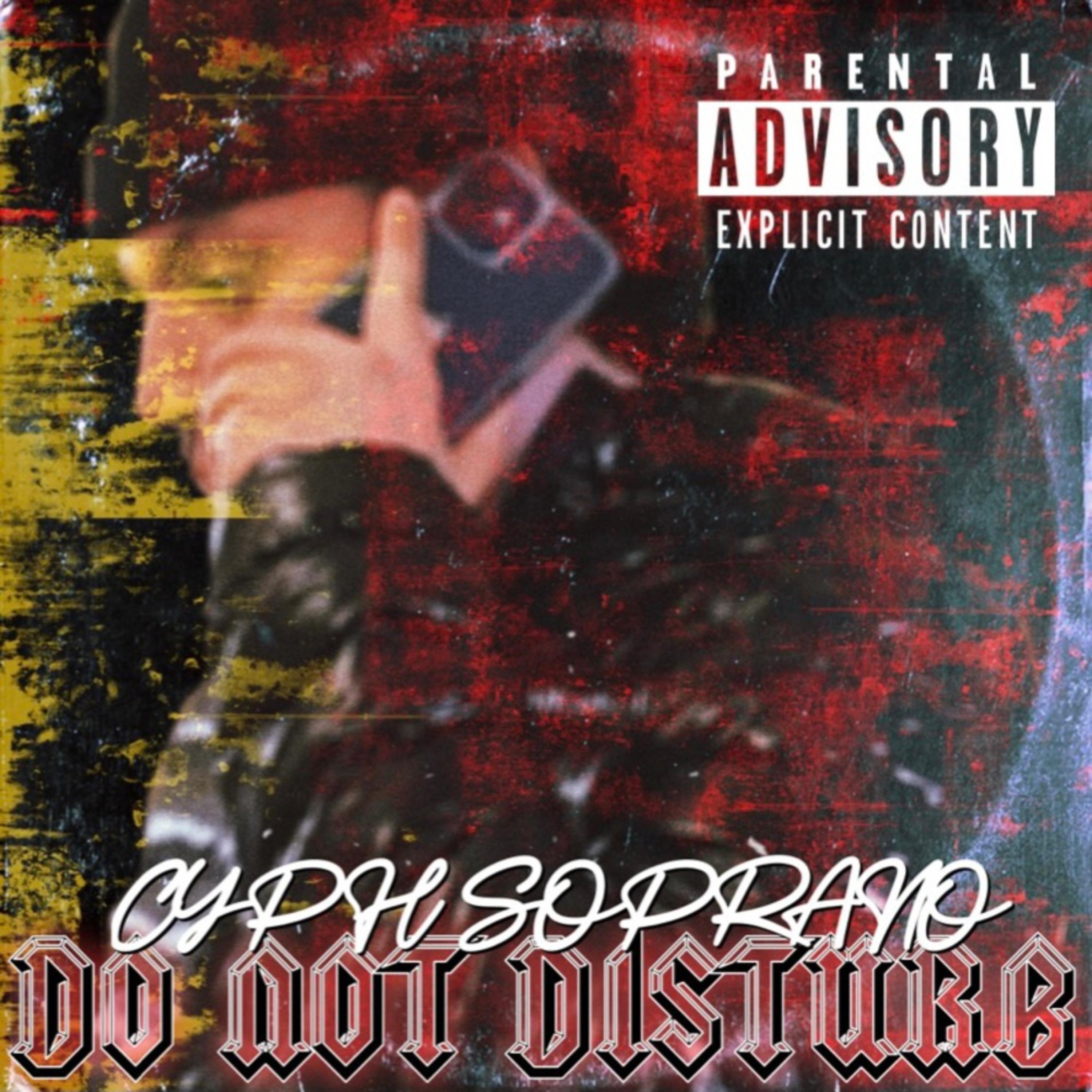 DO NOT DISTURB artwork