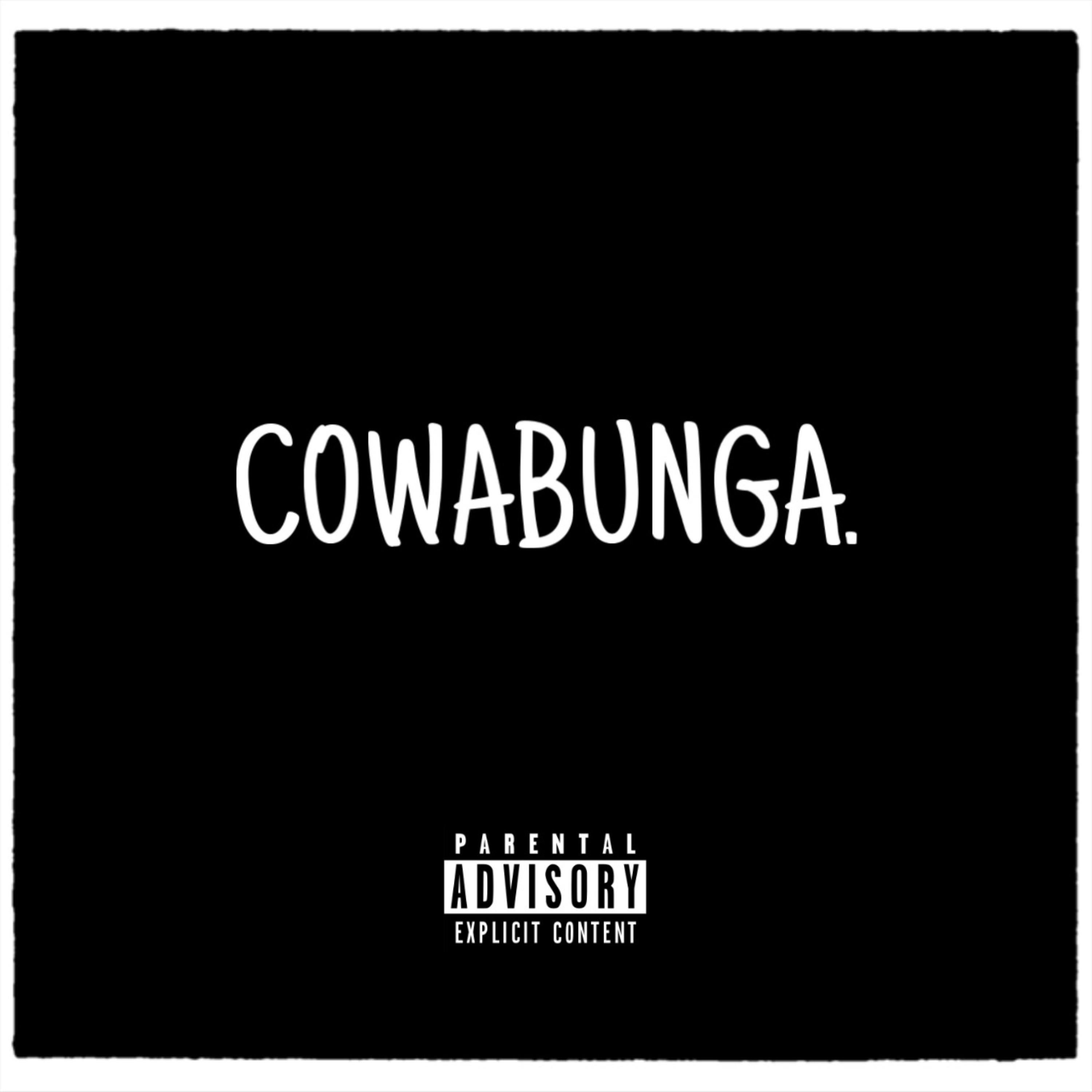 COWABUNGA artwork