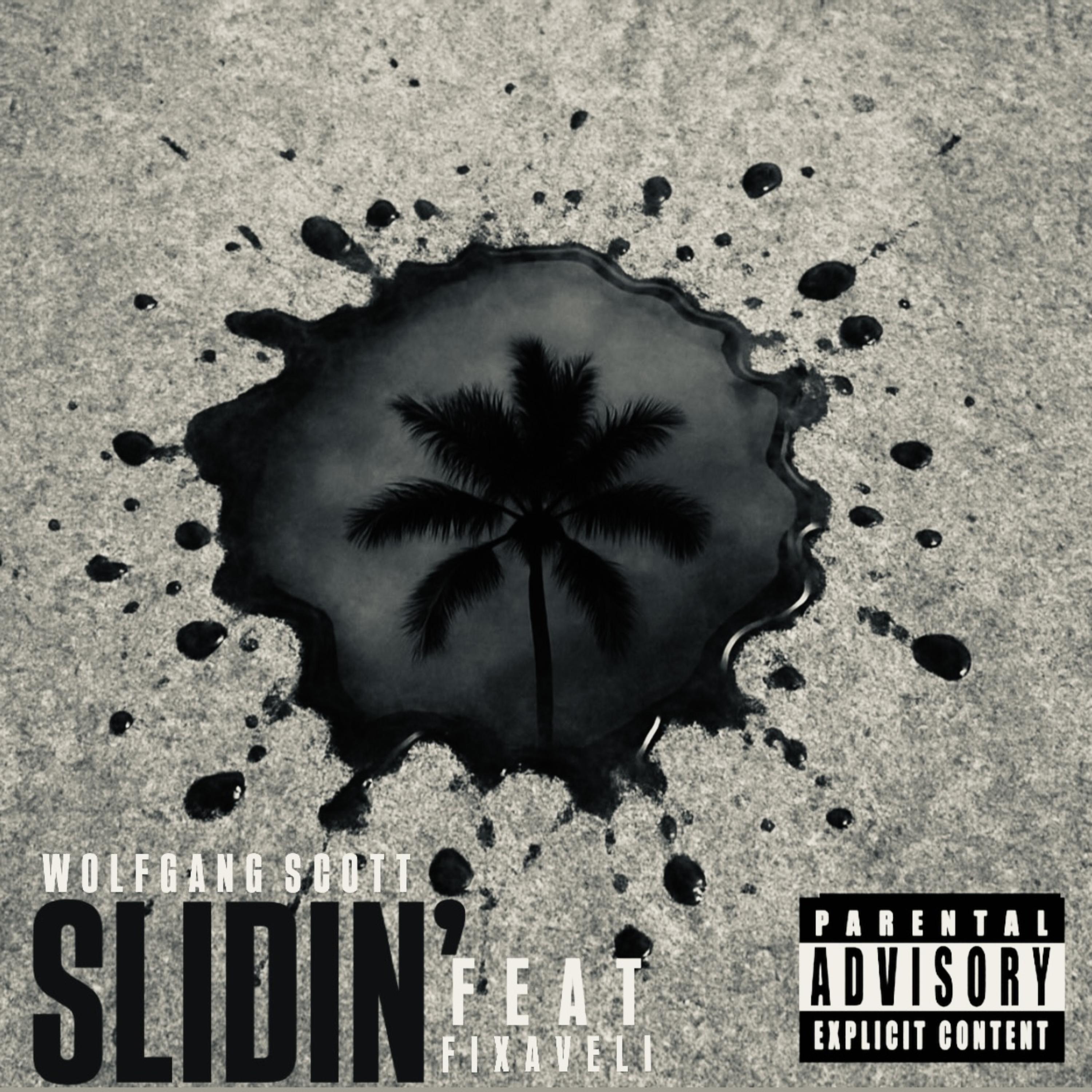 SLIDIN! artwork