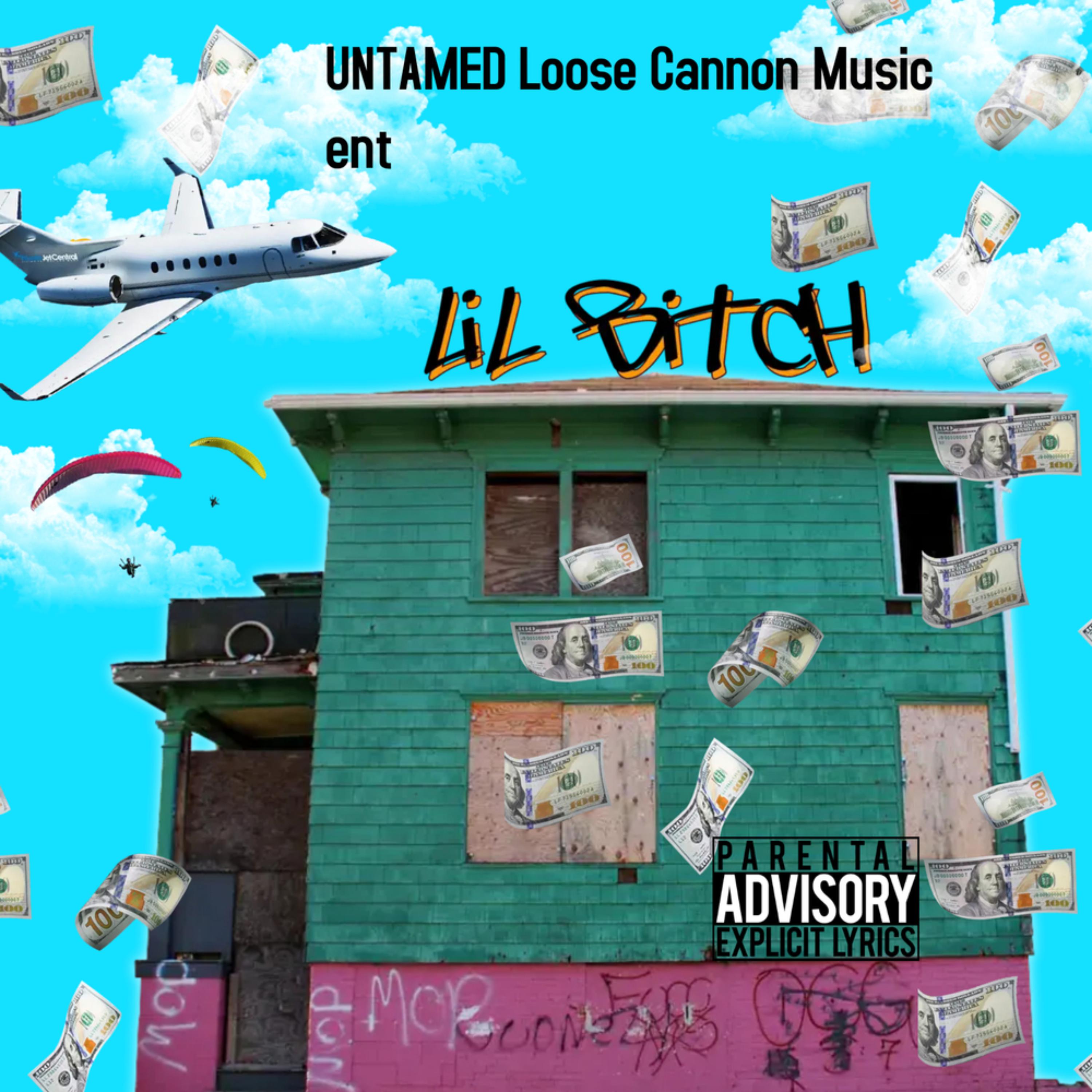 Lil Bitch diss song artwork