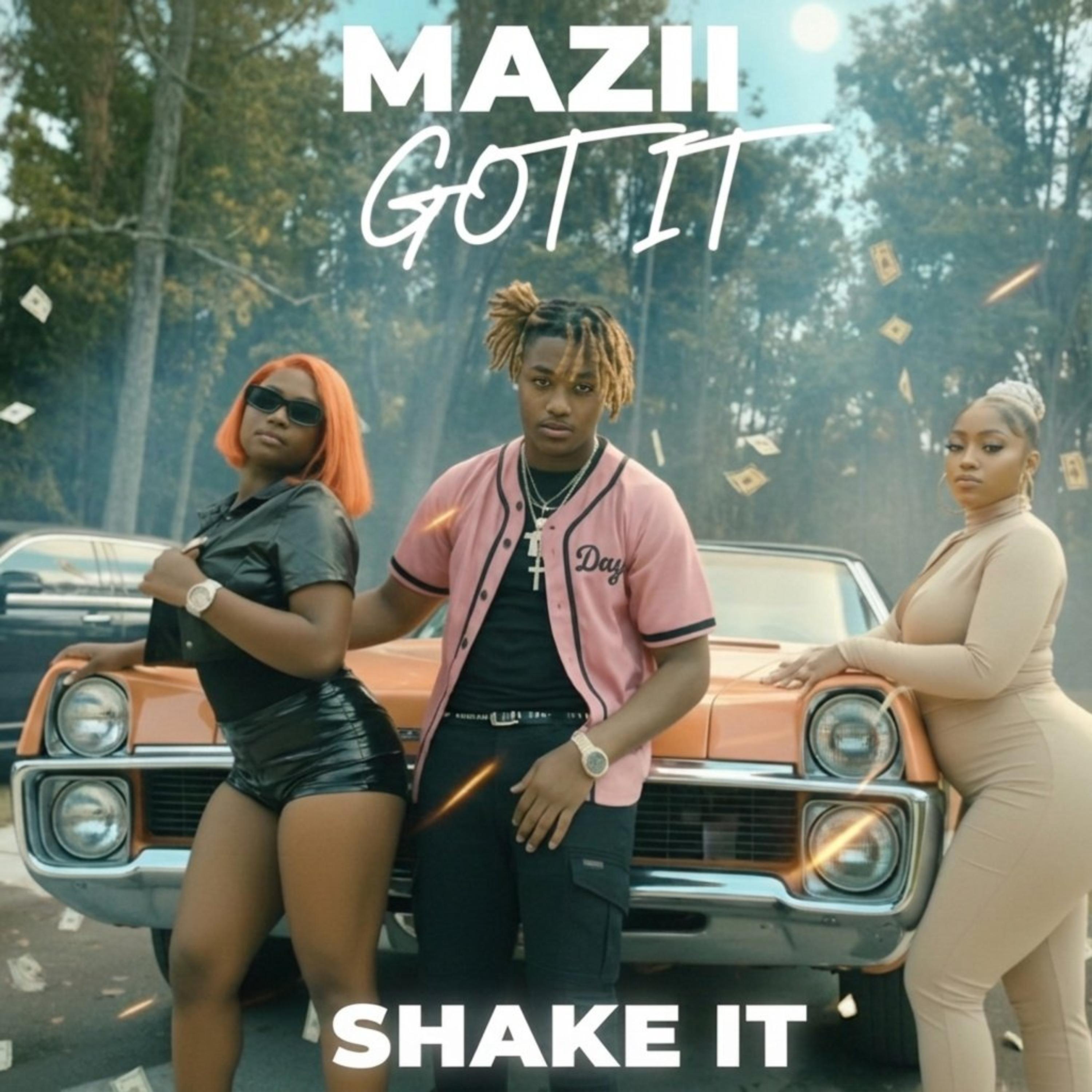 SHAKE IT artwork