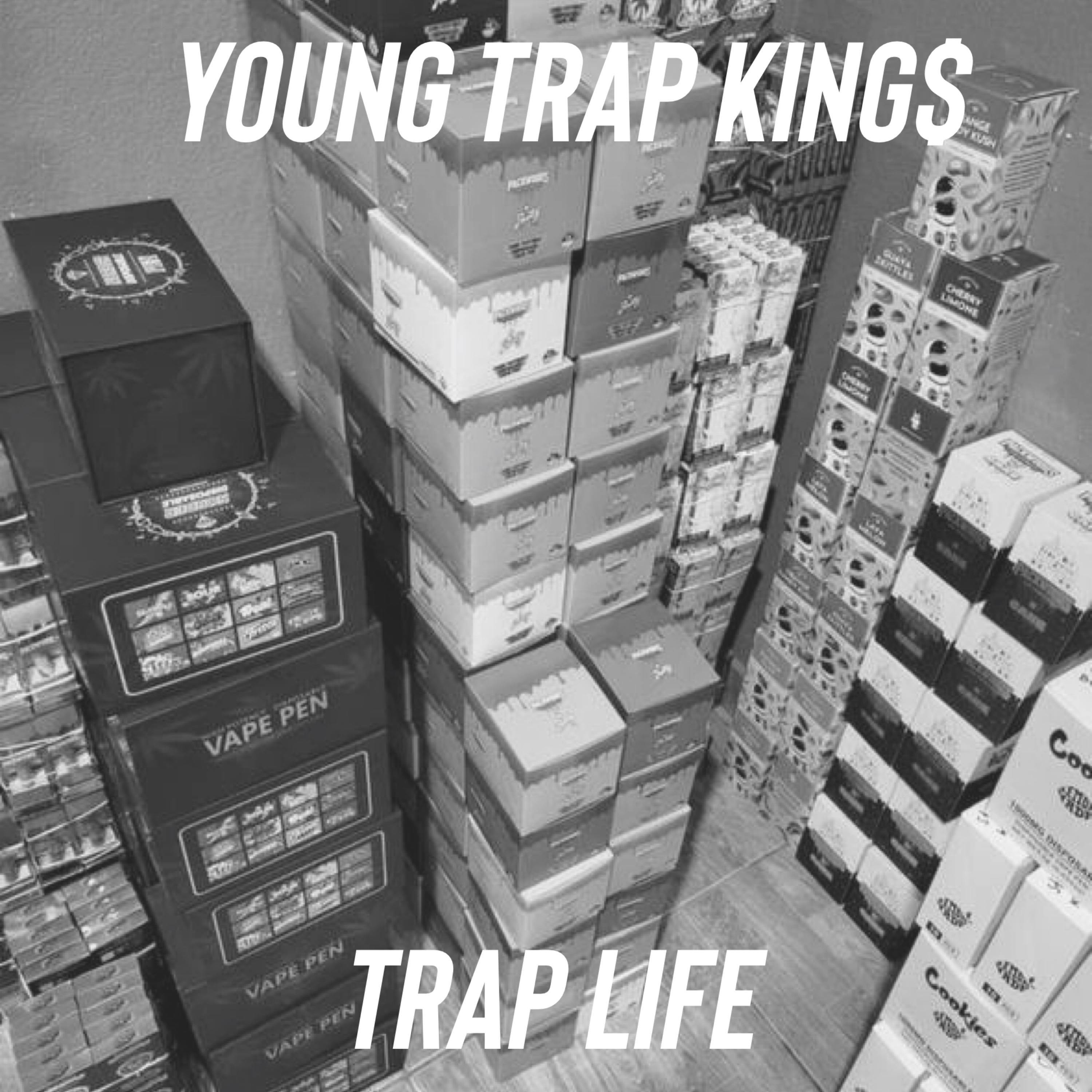Trap Life artwork