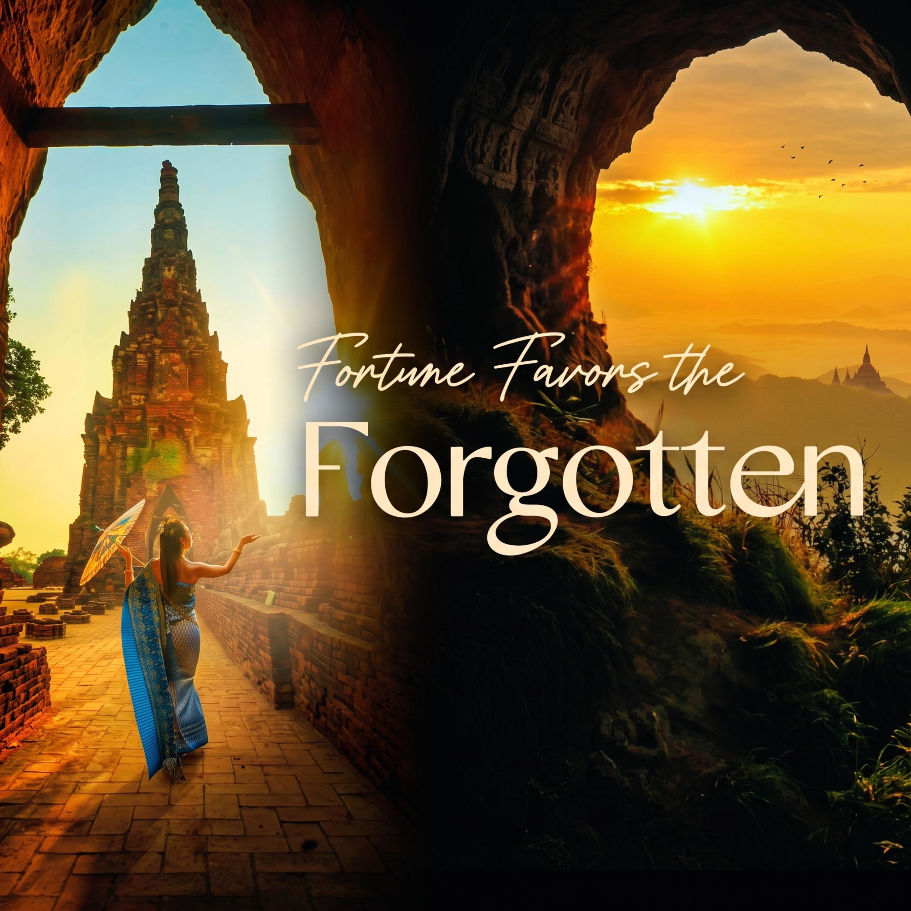 Fortune Favours The Forgotten by Michael Behm Instrumentals cover art