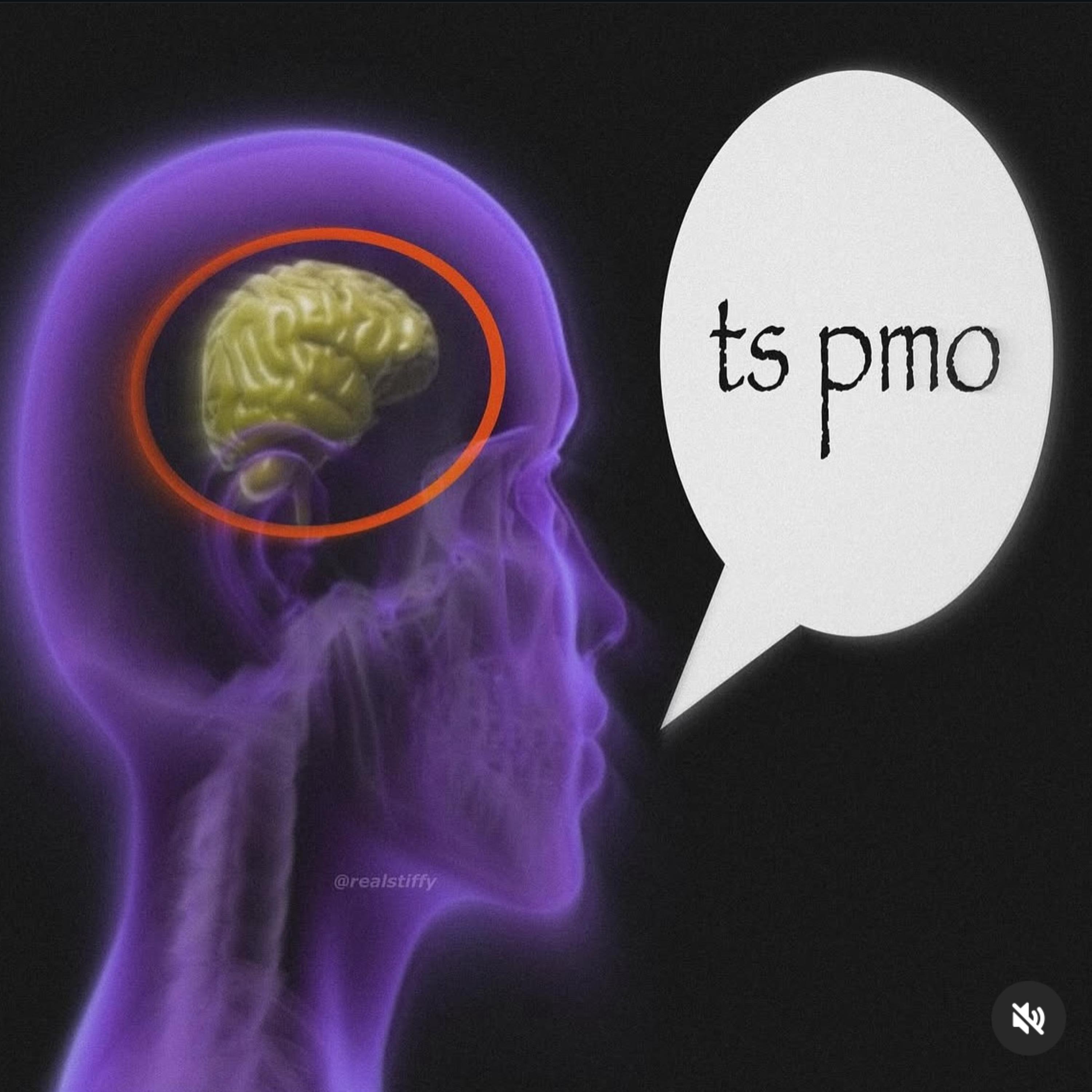 ts pmo artwork