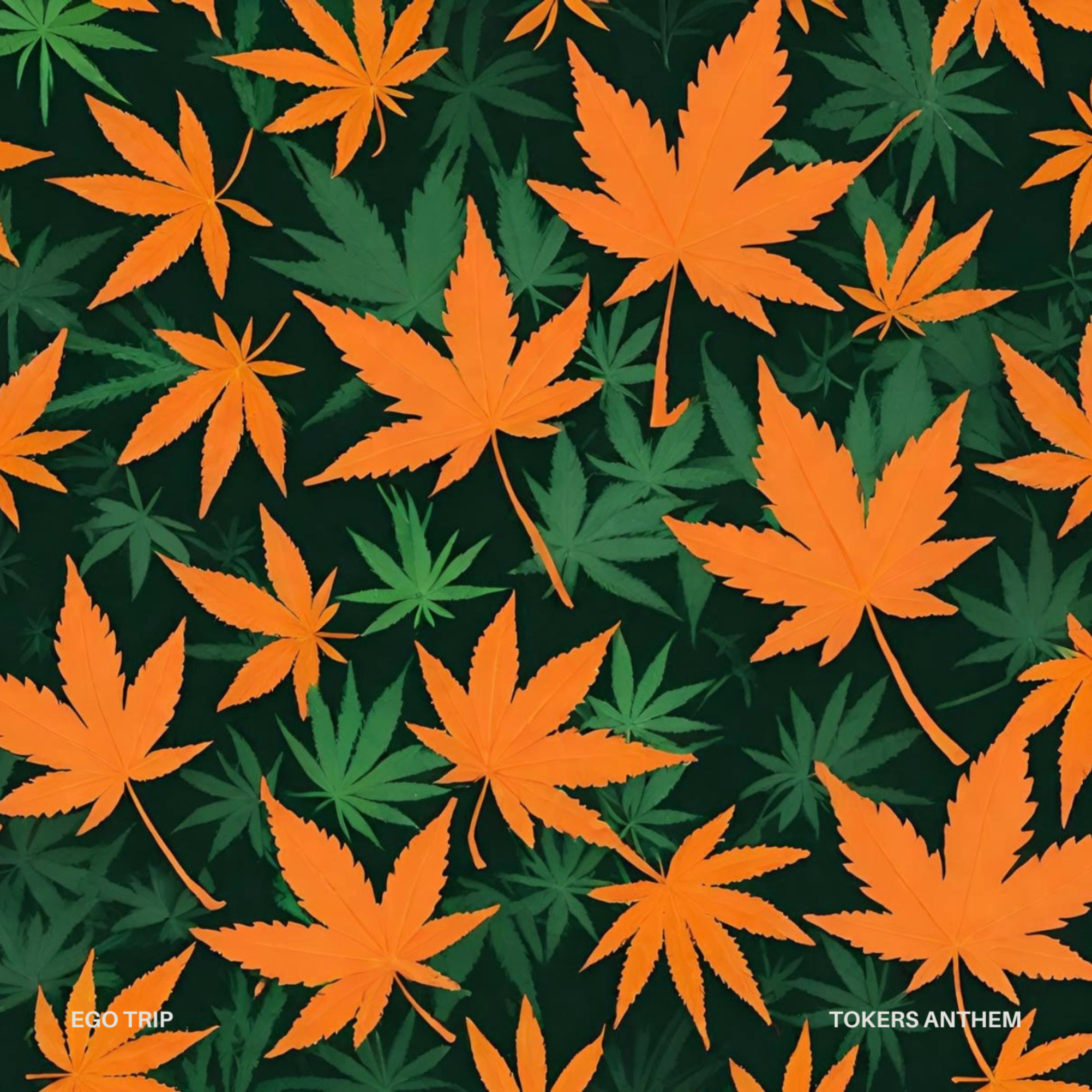 Tokers Anthem artwork