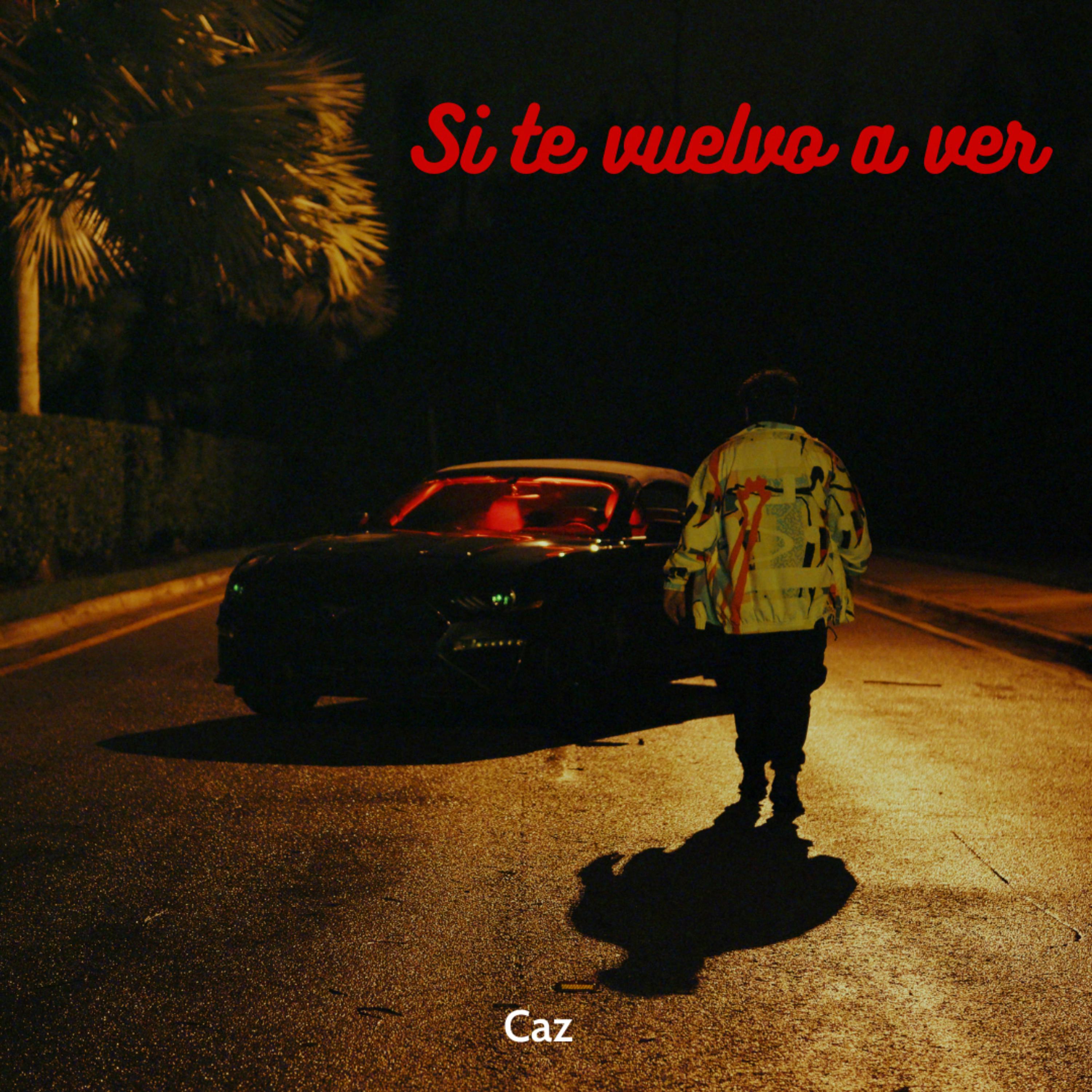 Si Te Vuelvo A Ver artwork