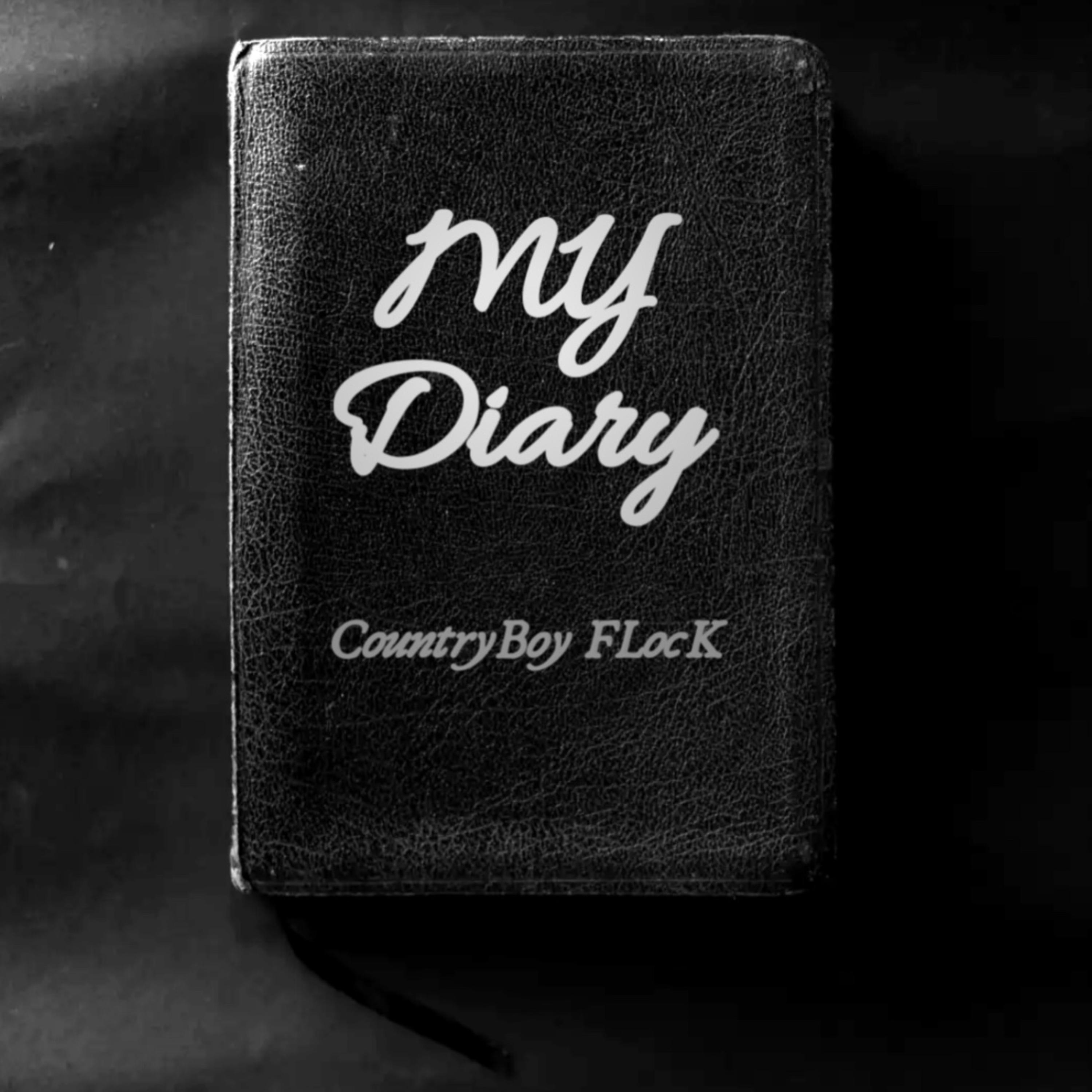 My Diary artwork