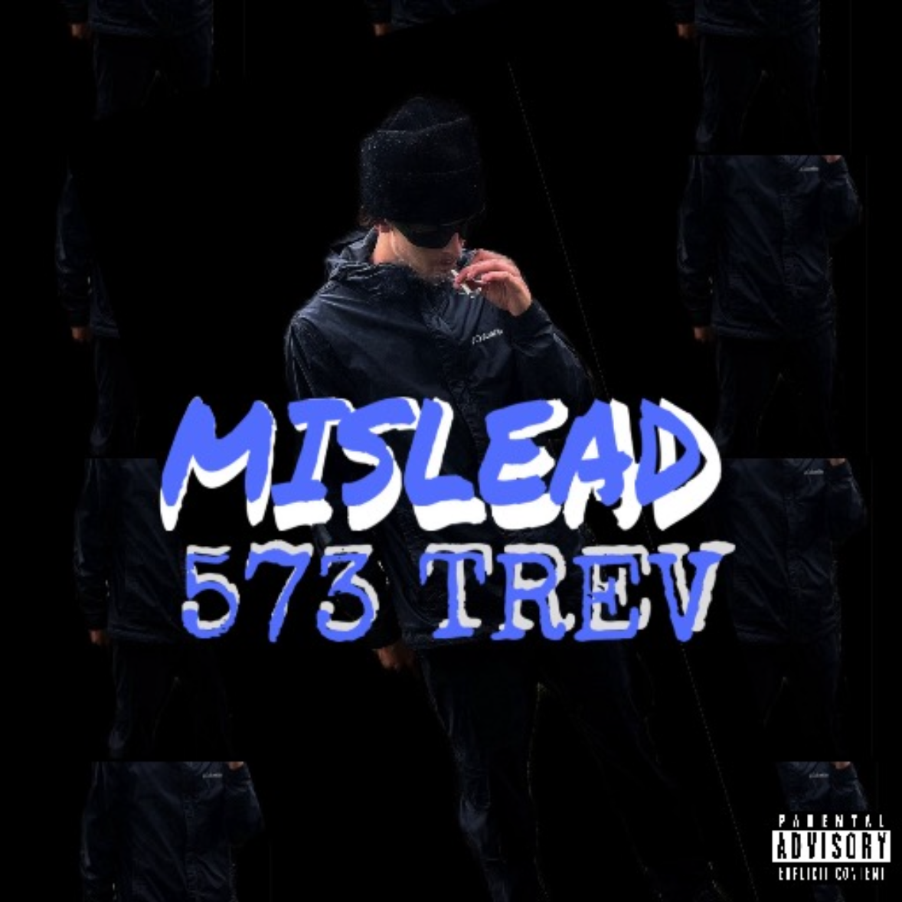 Mislead artwork