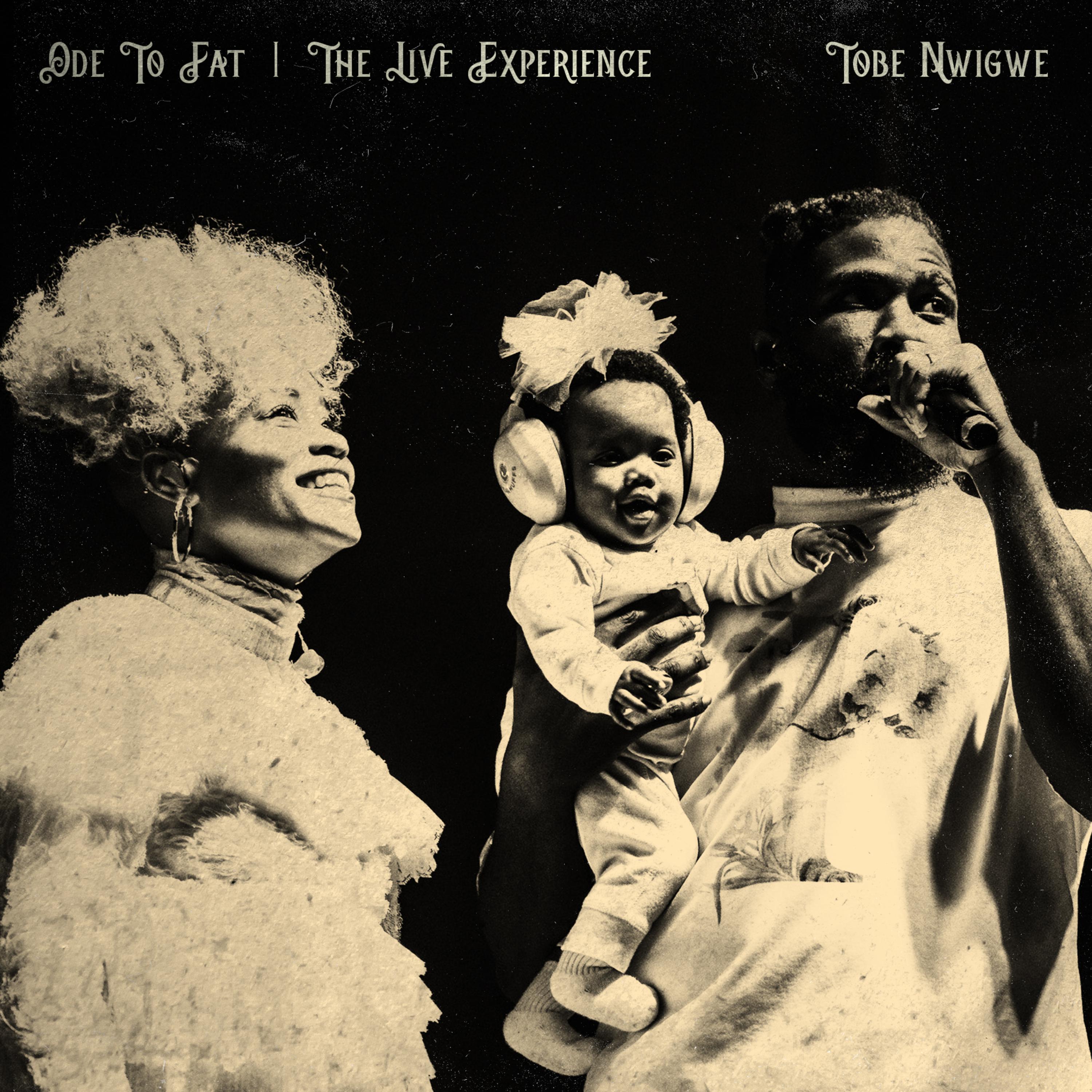 ODE TO FAT (THE IVORY TOUR) artwork