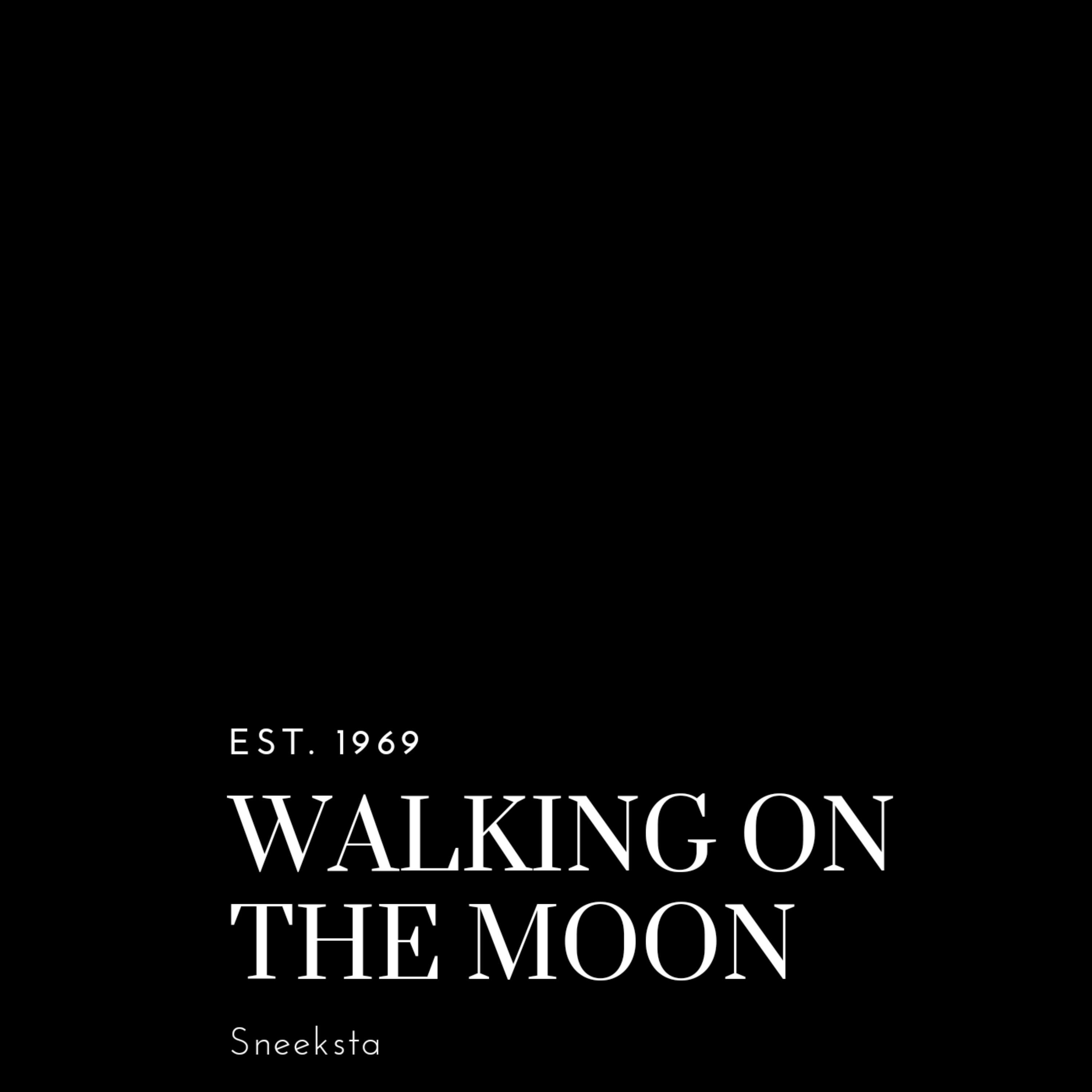 Walking On The Moon artwork