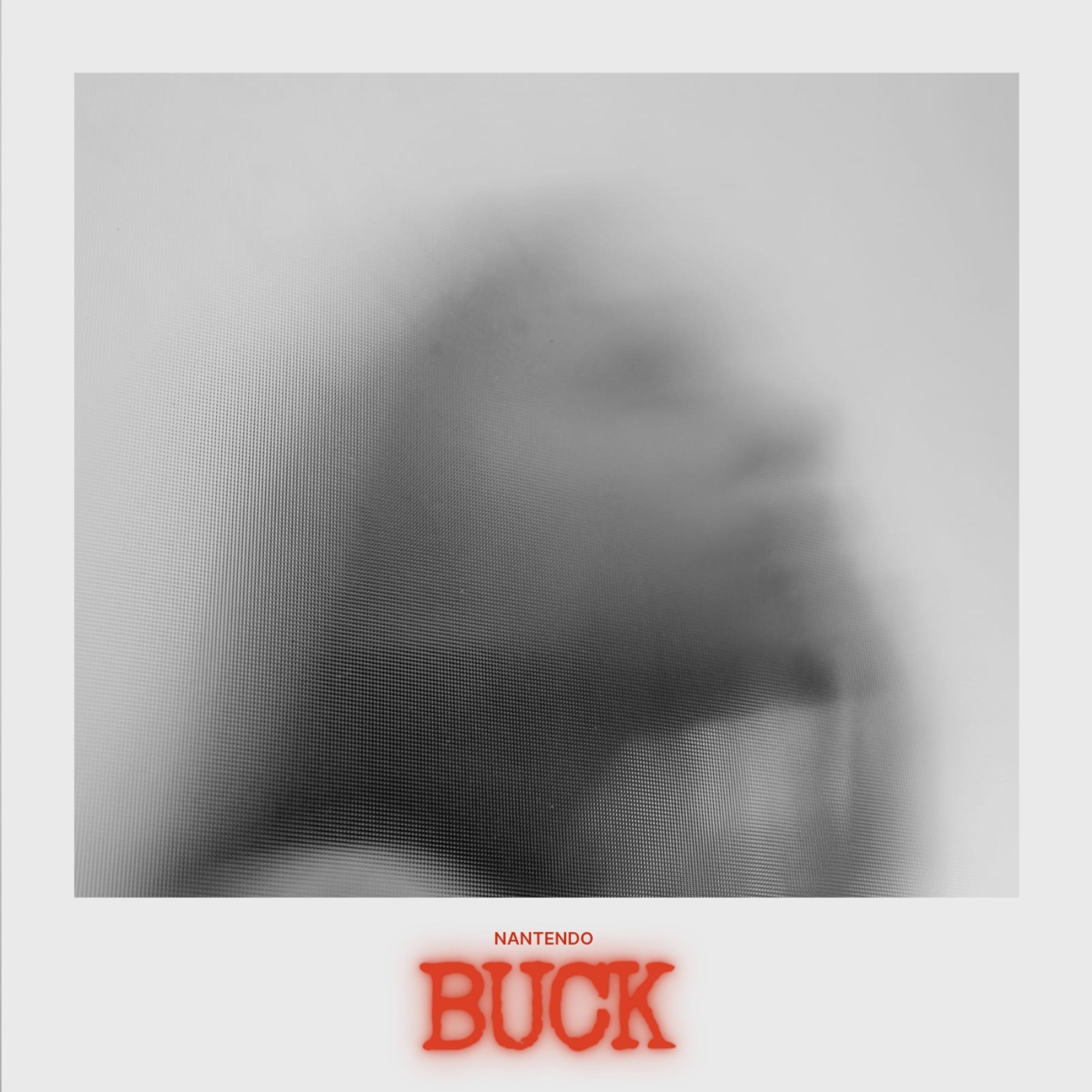 BUCK by Nantendo cover art