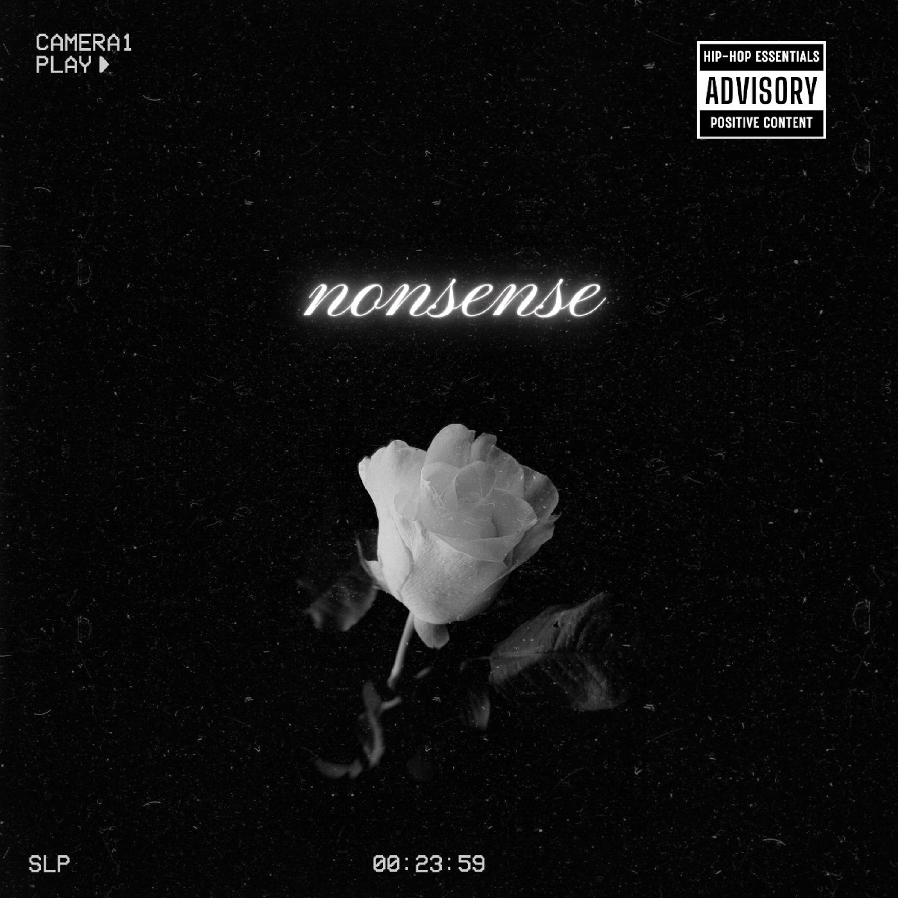 nonsense by AceGahd cover art