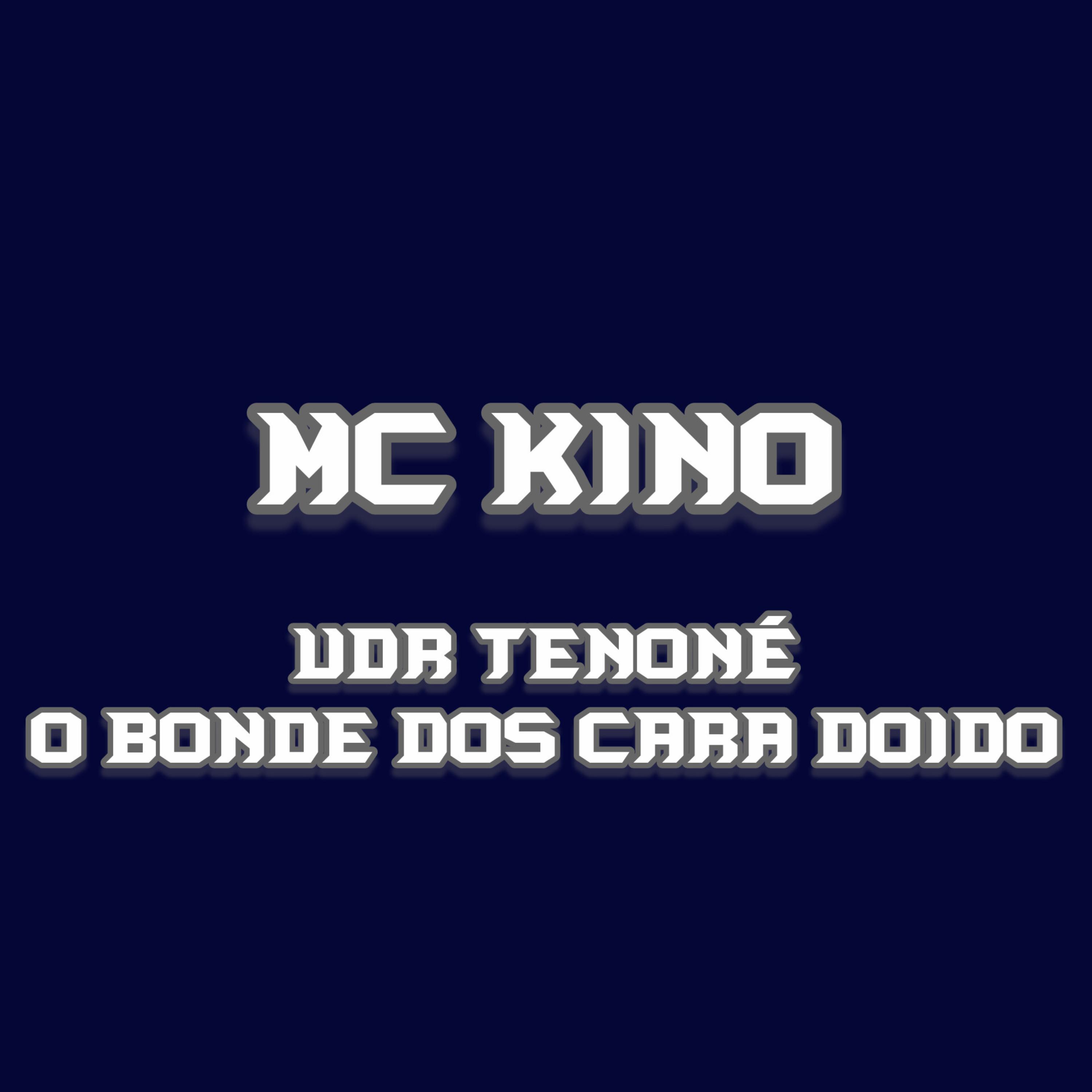 UDR TENONÉ O BONDE DOS CARA DOIDO artwork