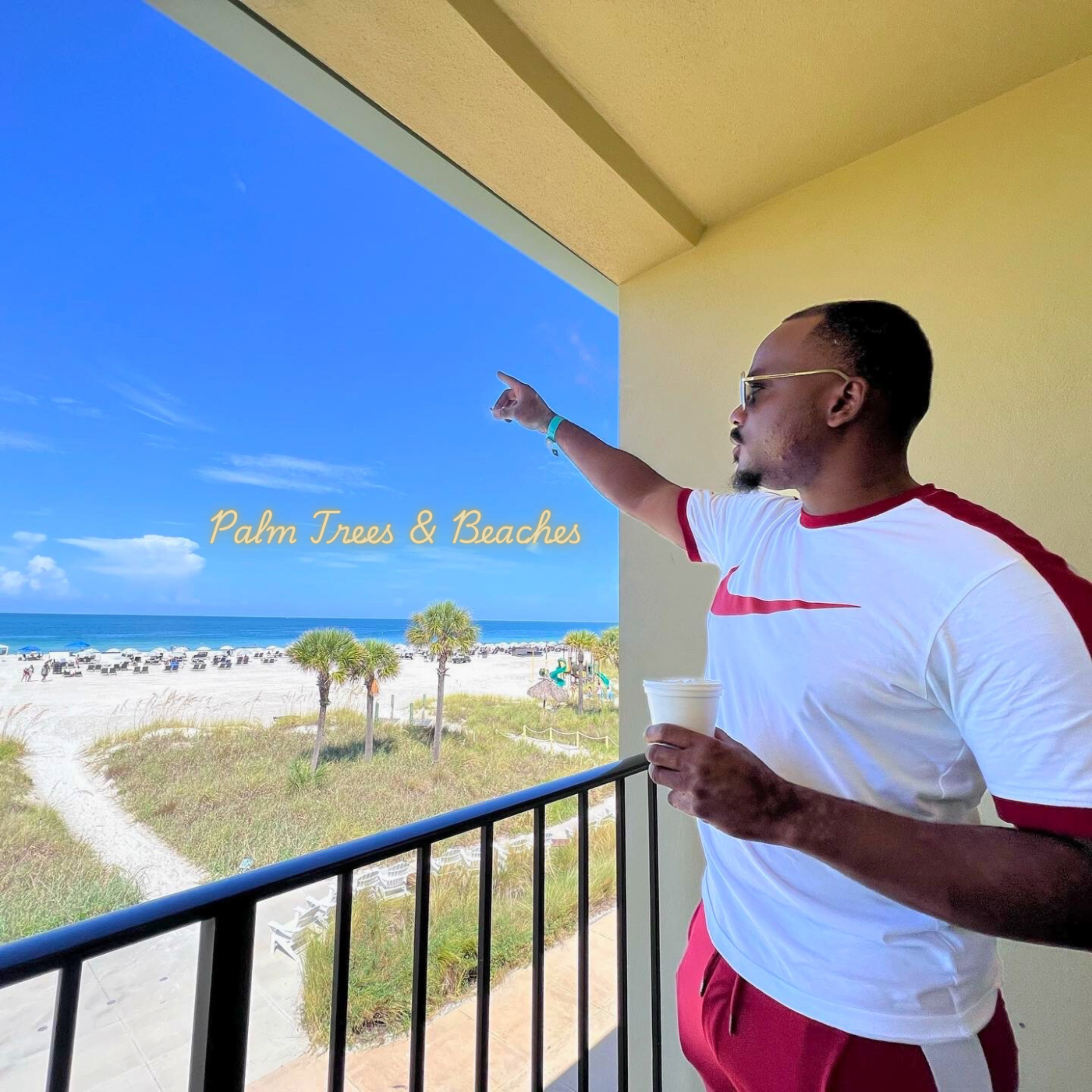 Palm Trees & Beaches artwork