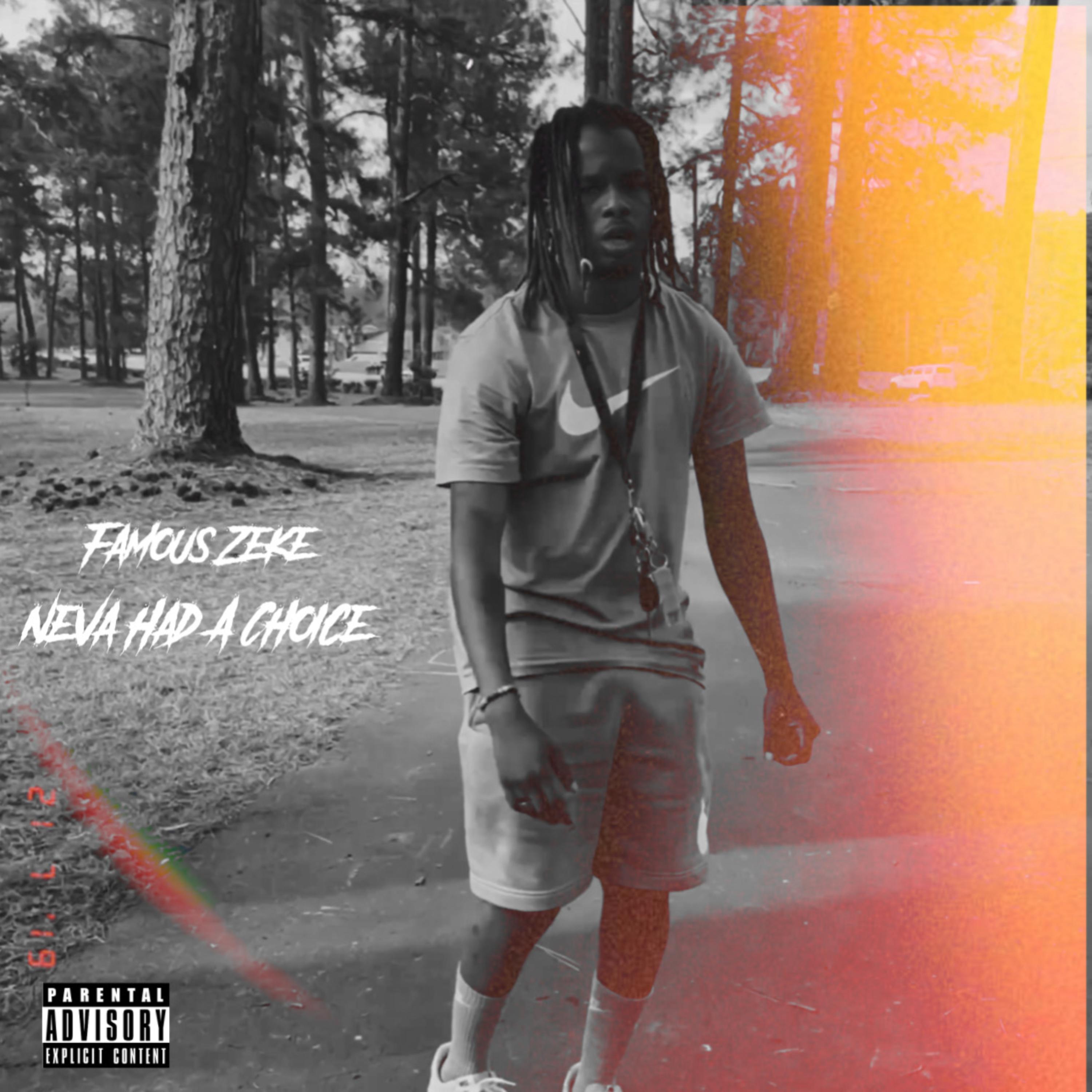 Neva Had A Choice artwork