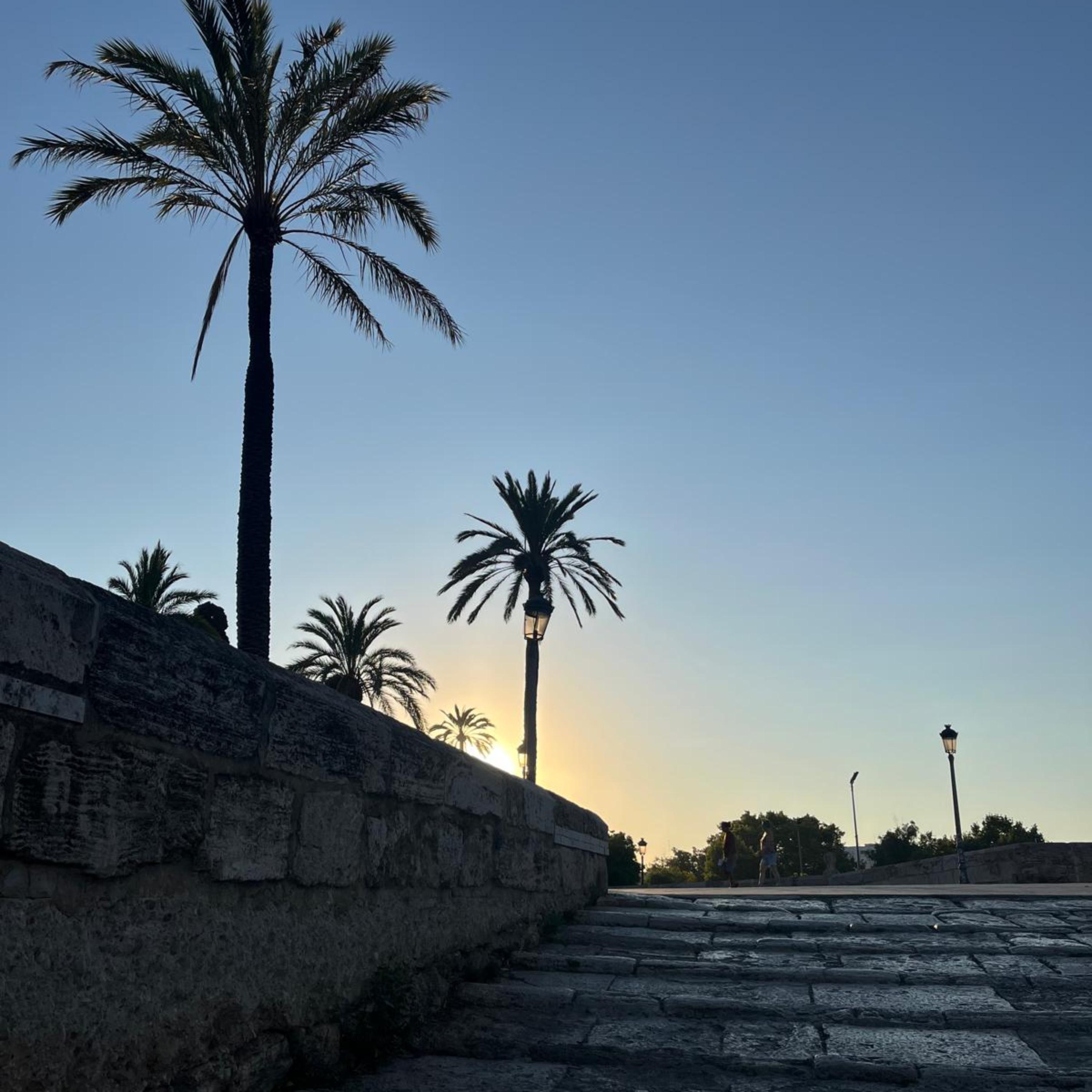 Música de Samba artwork