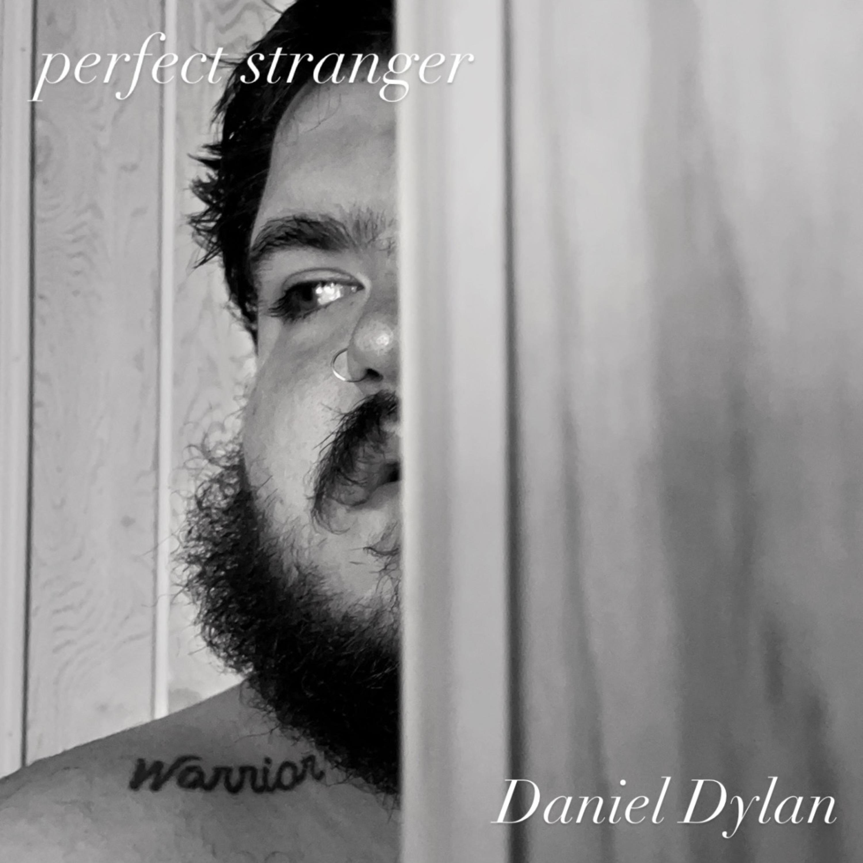Perfect Stranger artwork