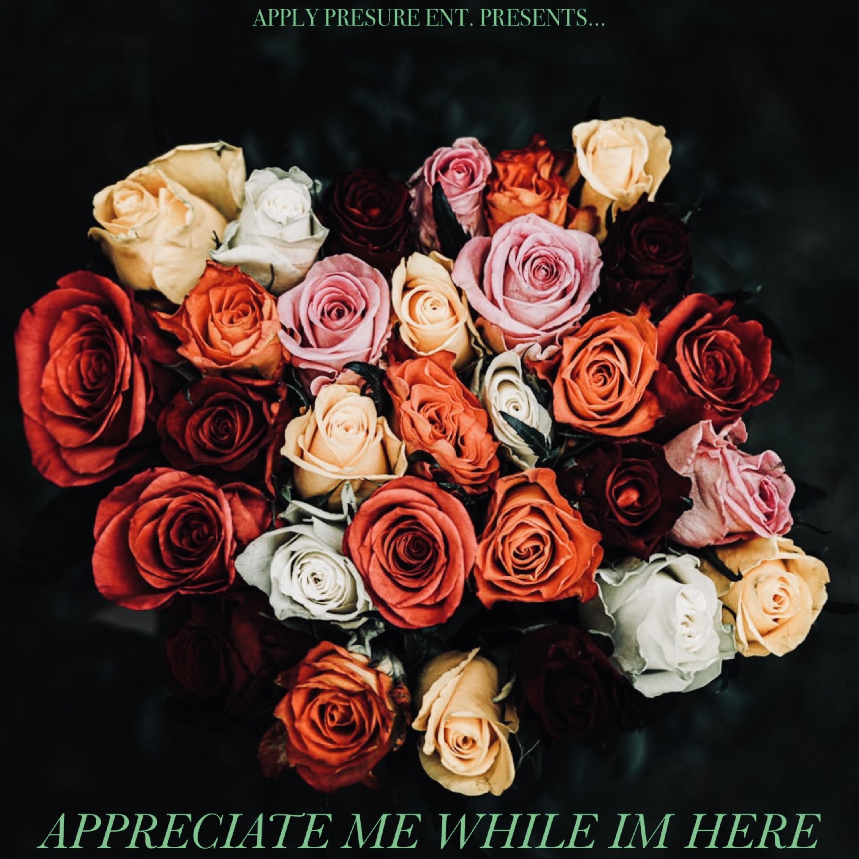 Appreciate Me While I’m Here by Sabree cover art