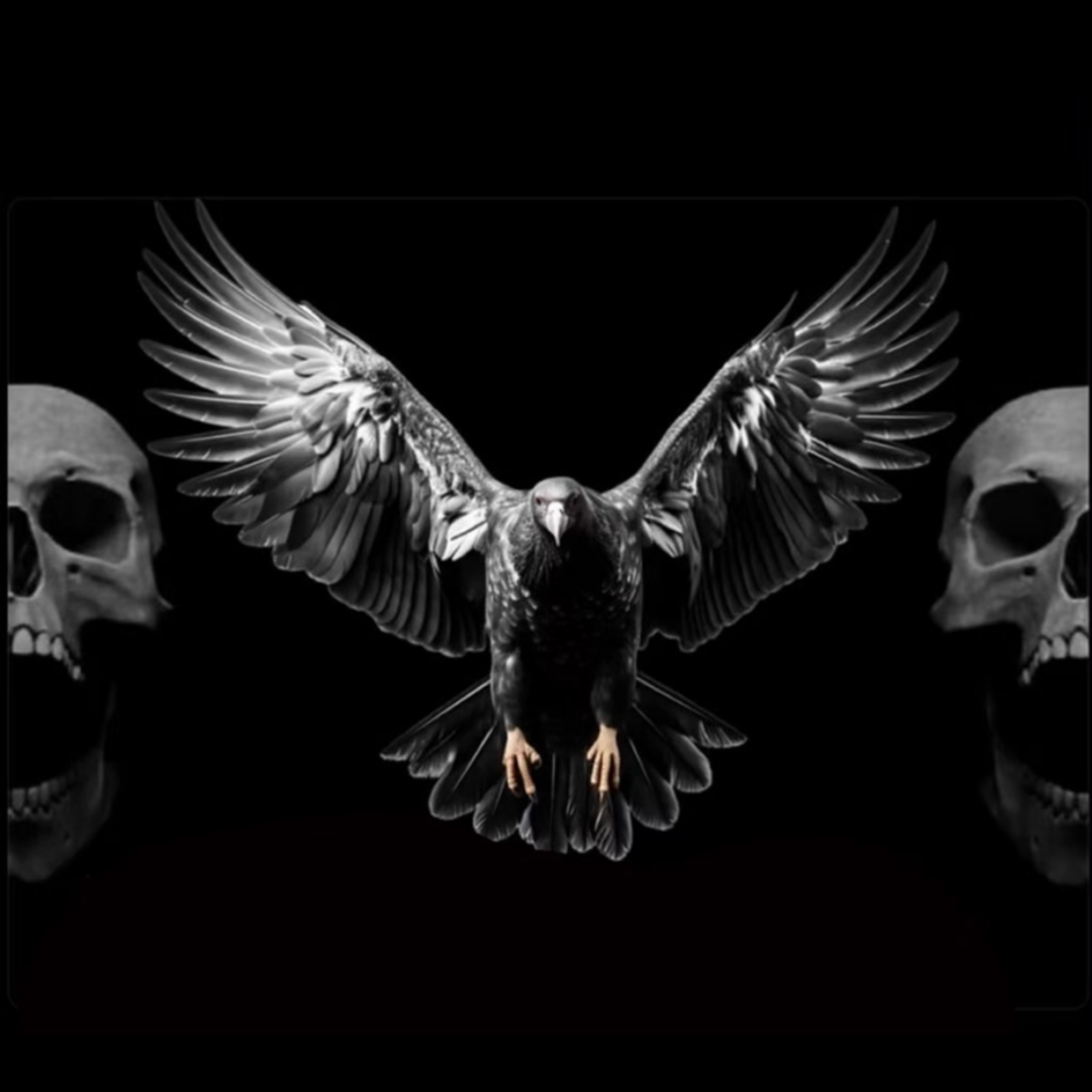 Vulture SZN by ABM Teezy cover art