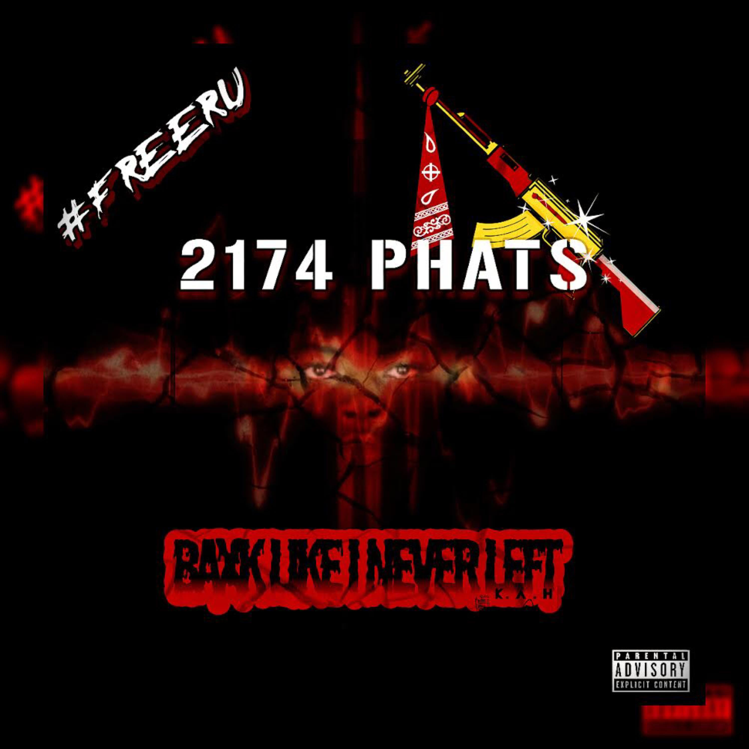 Ba¢k Like I Never Left artwork