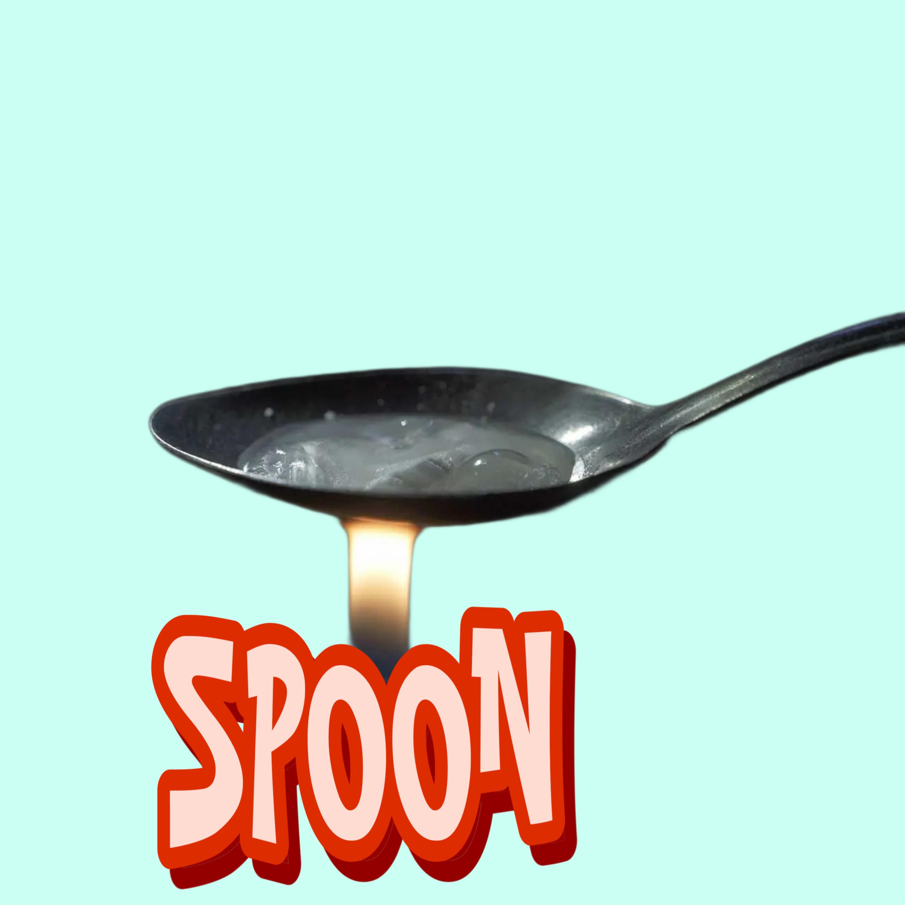 SPOON artwork