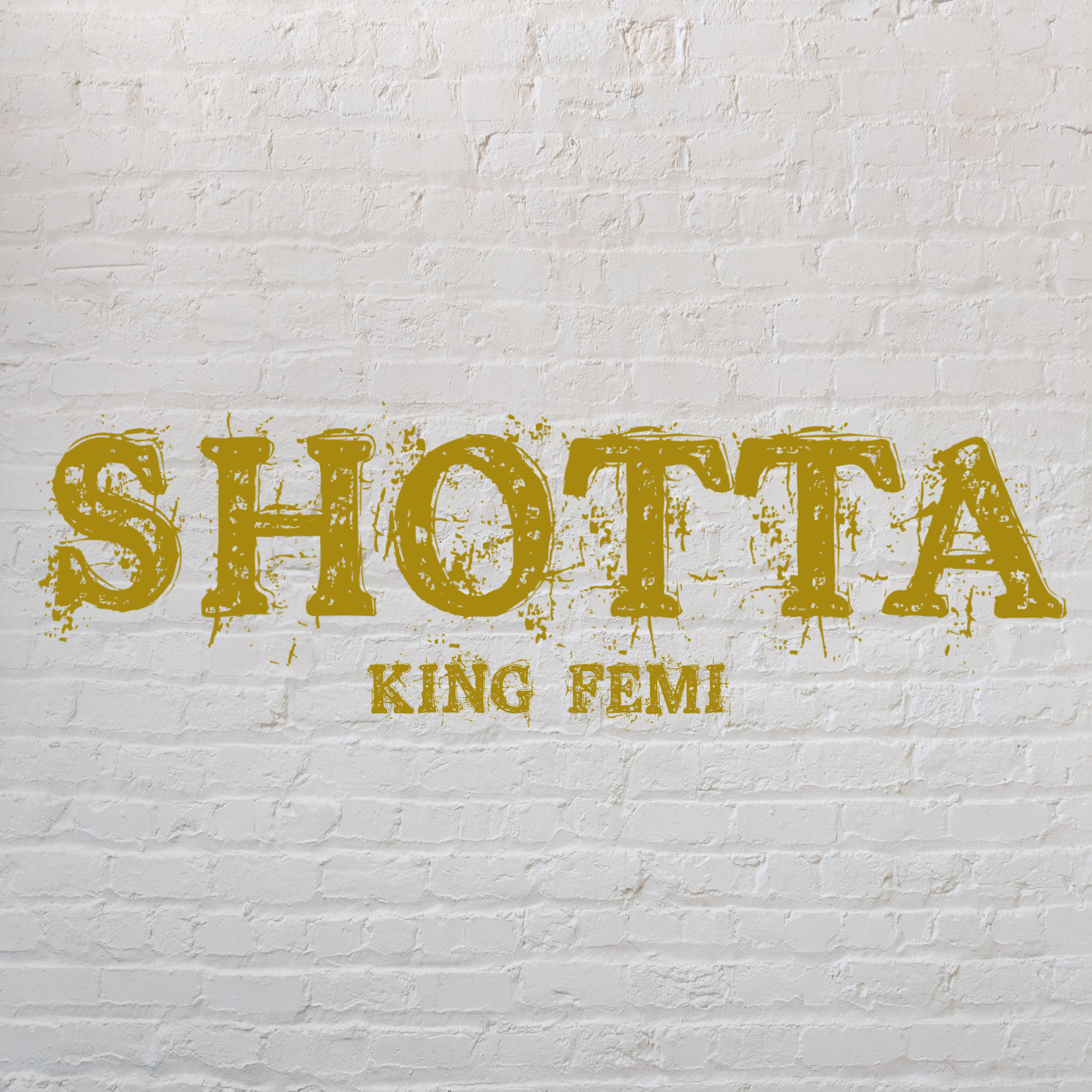 Shotta artwork