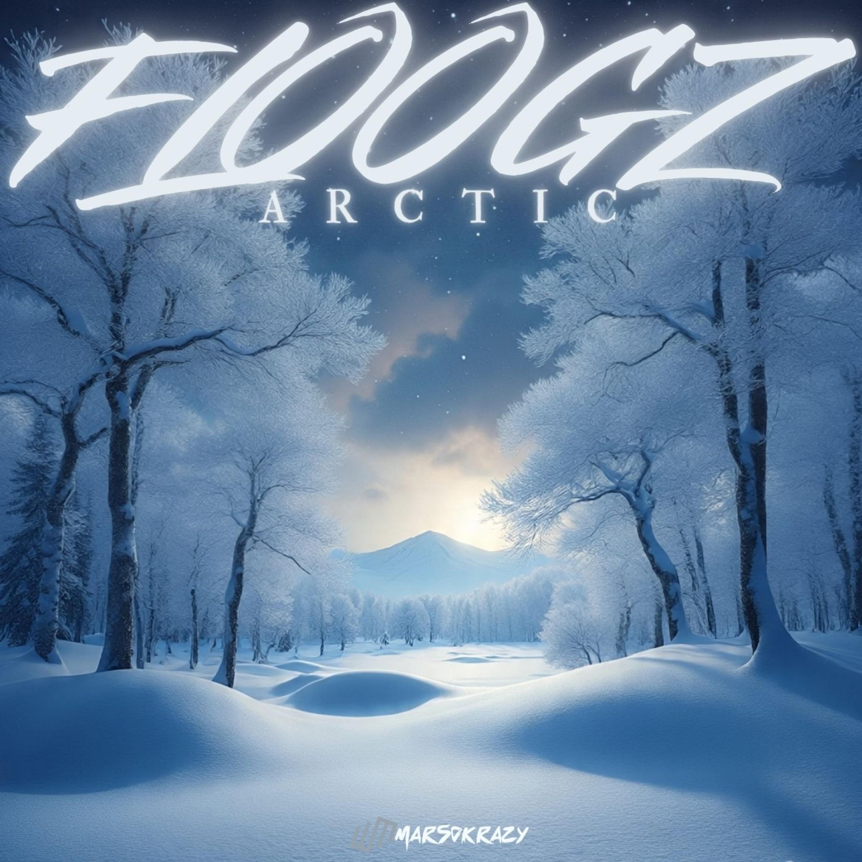 FLOOGZ ARCTIC artwork